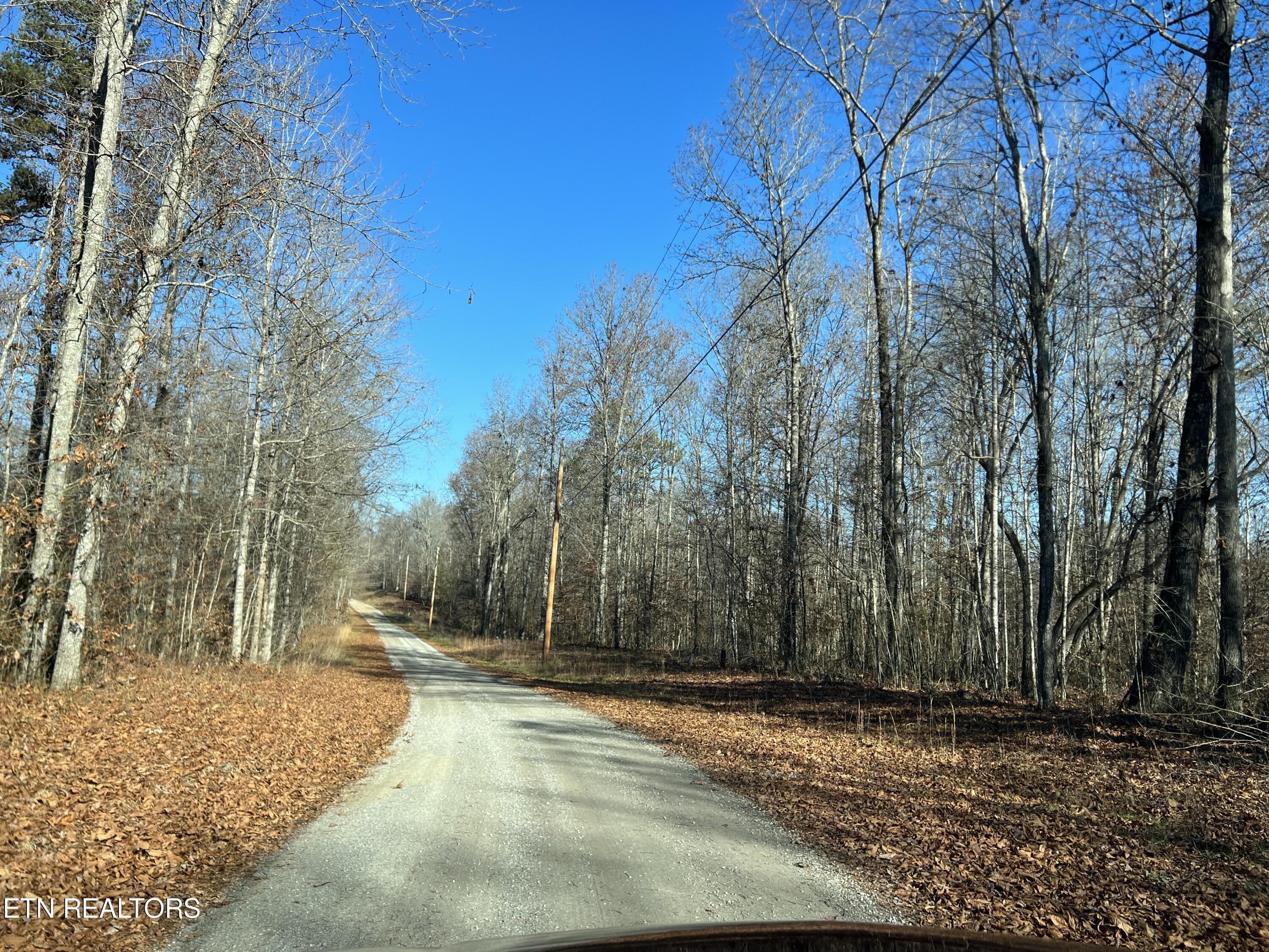 lot 3 Jones Ridge Rd, Speedwell, TN - Norris Lake Real Estate - Image# 9