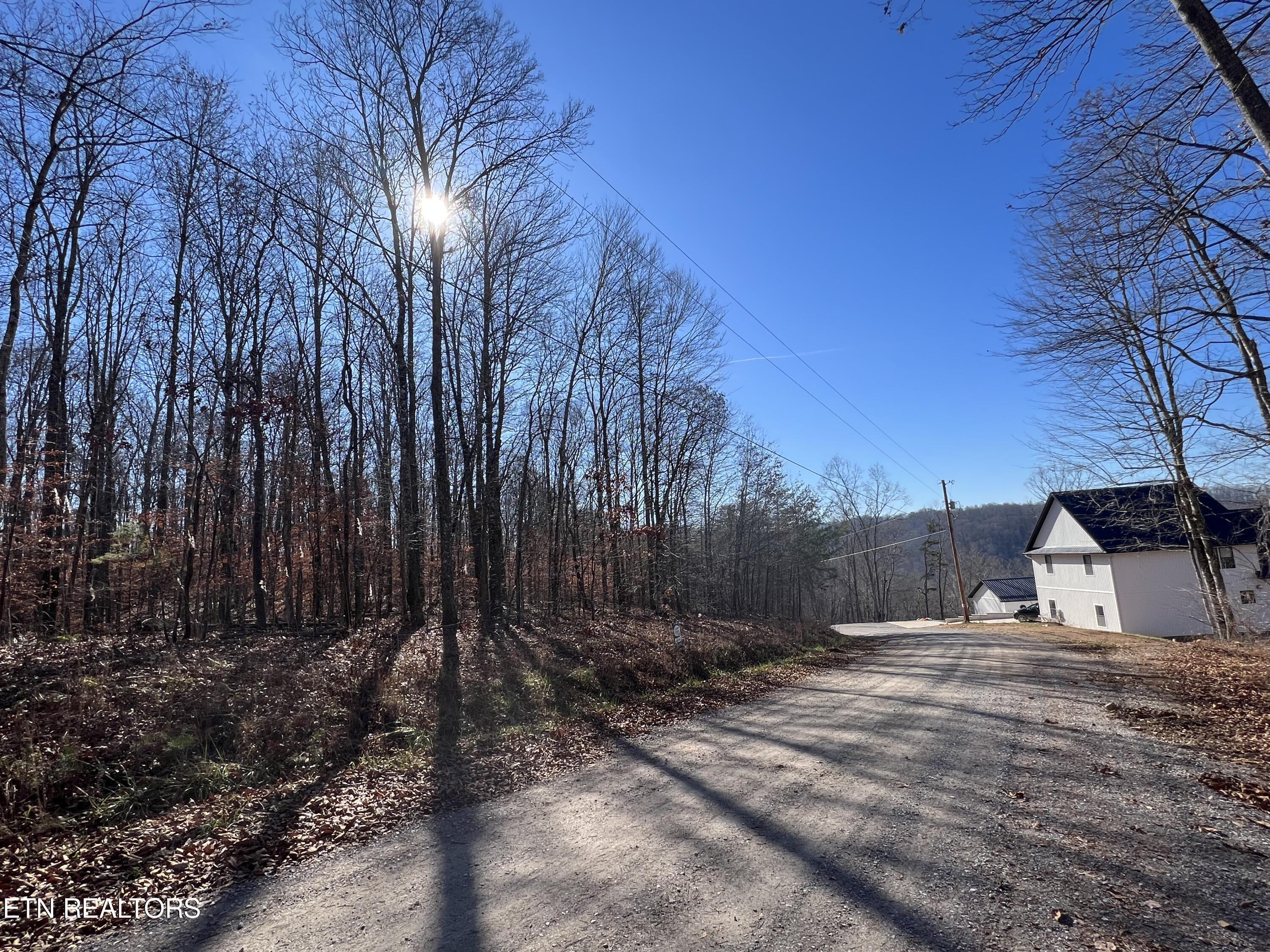lots 1&2 Jones Ridge Rd, Speedwell, TN - Norris Lake Real Estate - Image# 11