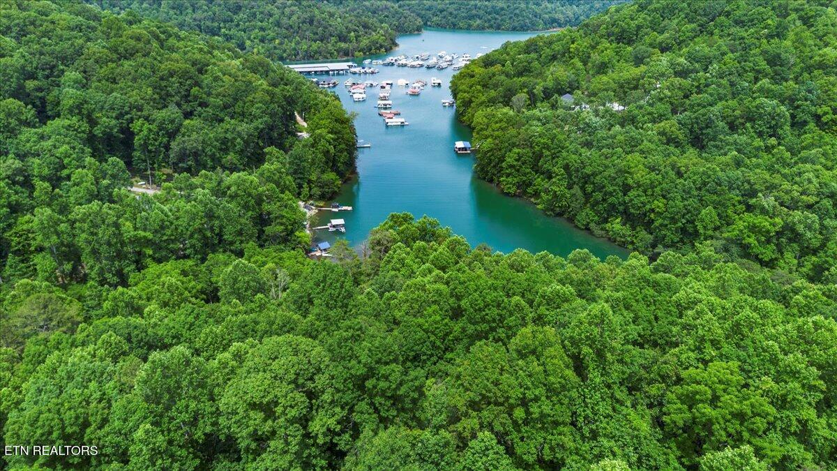 Norris Lake Real Estate - Image# 18