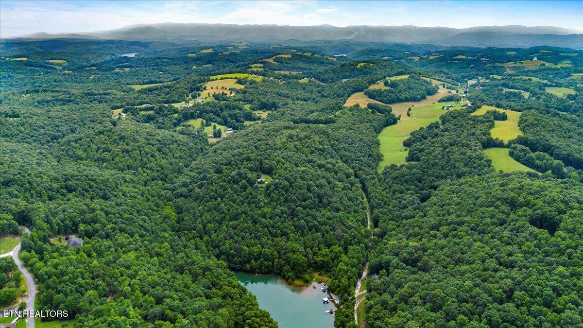 Norris Lake Real Estate - Image# 26