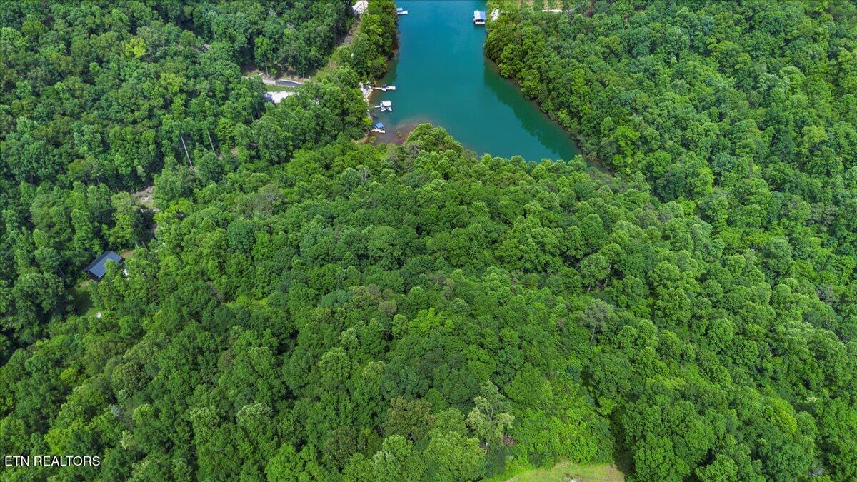 Norris Lake Real Estate - Image# 16