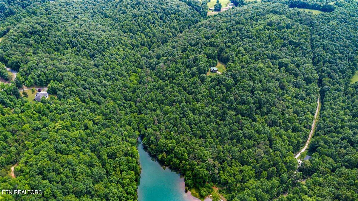 Norris Lake Real Estate - Image# 10