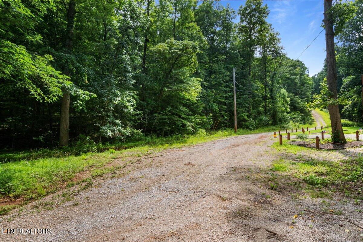 Norris Lake Real Estate - Image# 14
