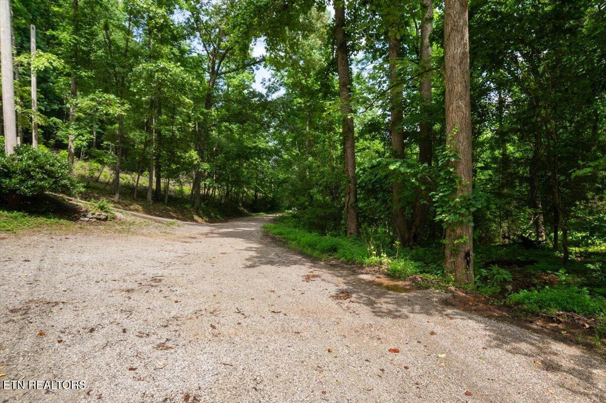 Norris Lake Real Estate - Image# 12