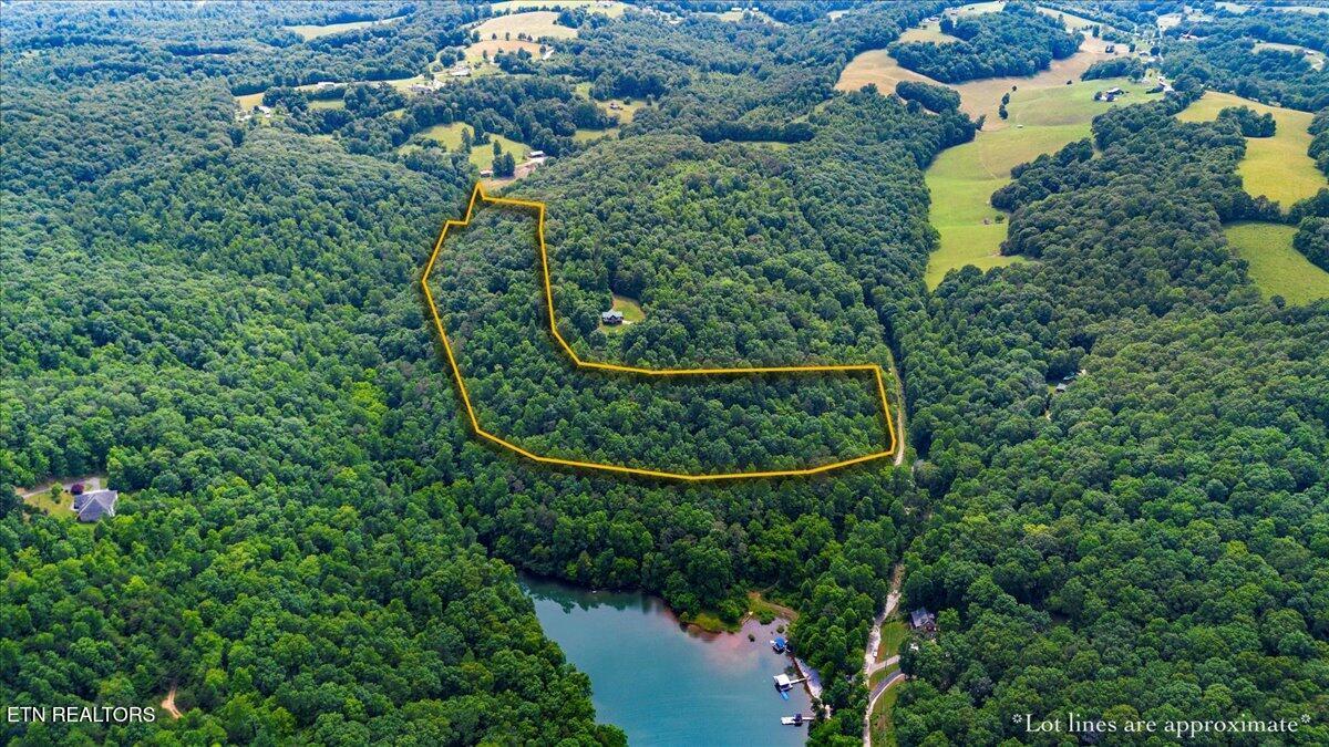 Norris Lake Real Estate - Image# 2