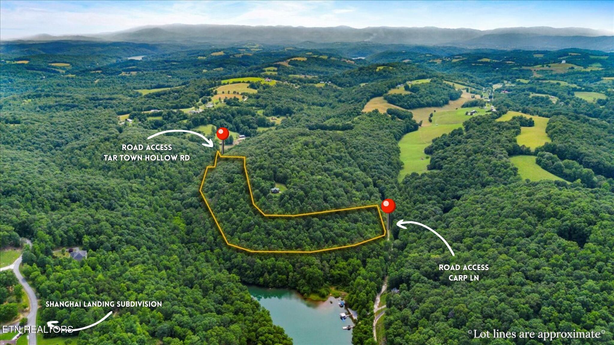 Norris Lake Real Estate - Image# 20