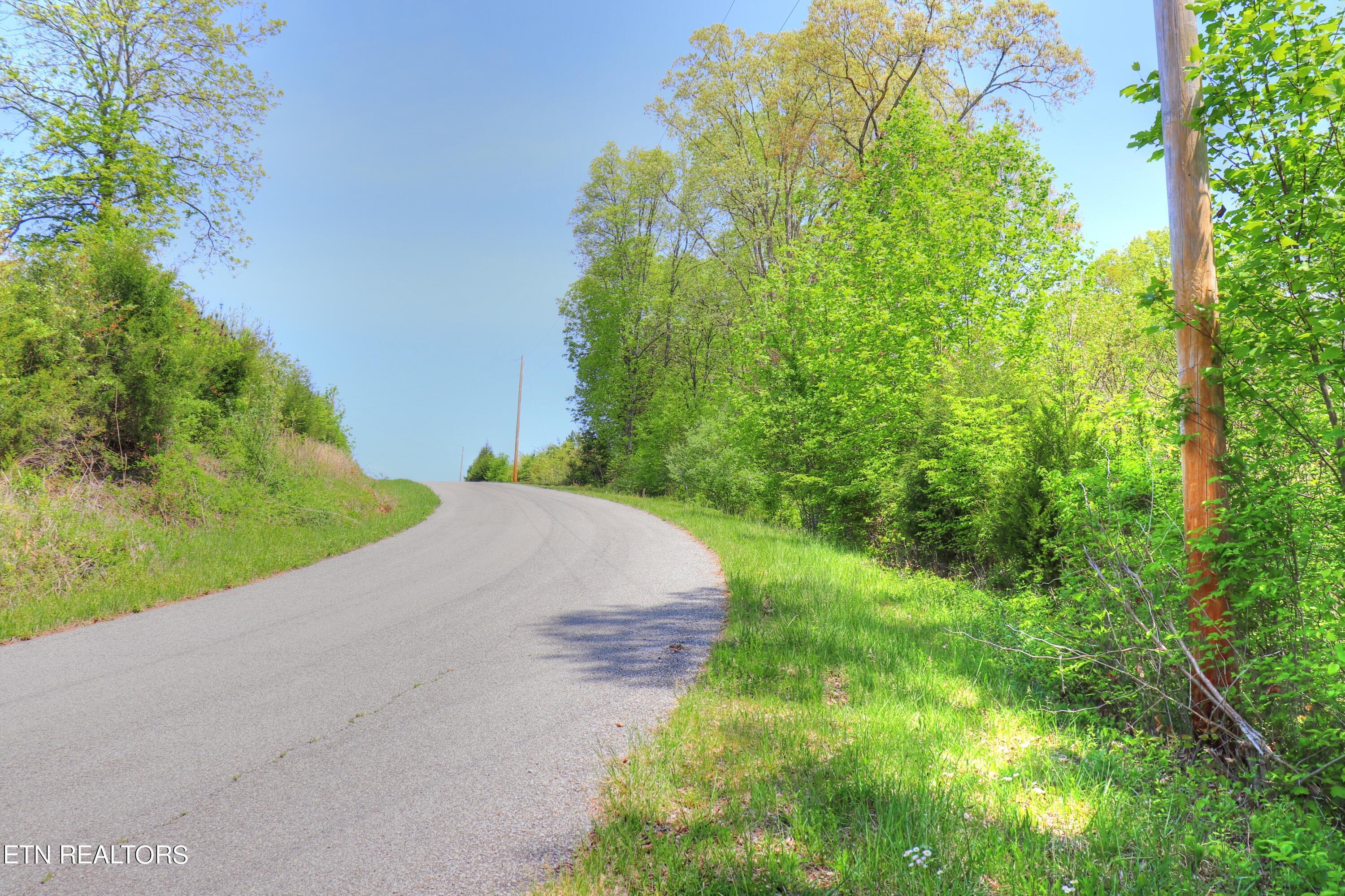 Lot 172 Saddleridge Drive, Speedwell, TN - Norris Lake Real Estate - Image# 2