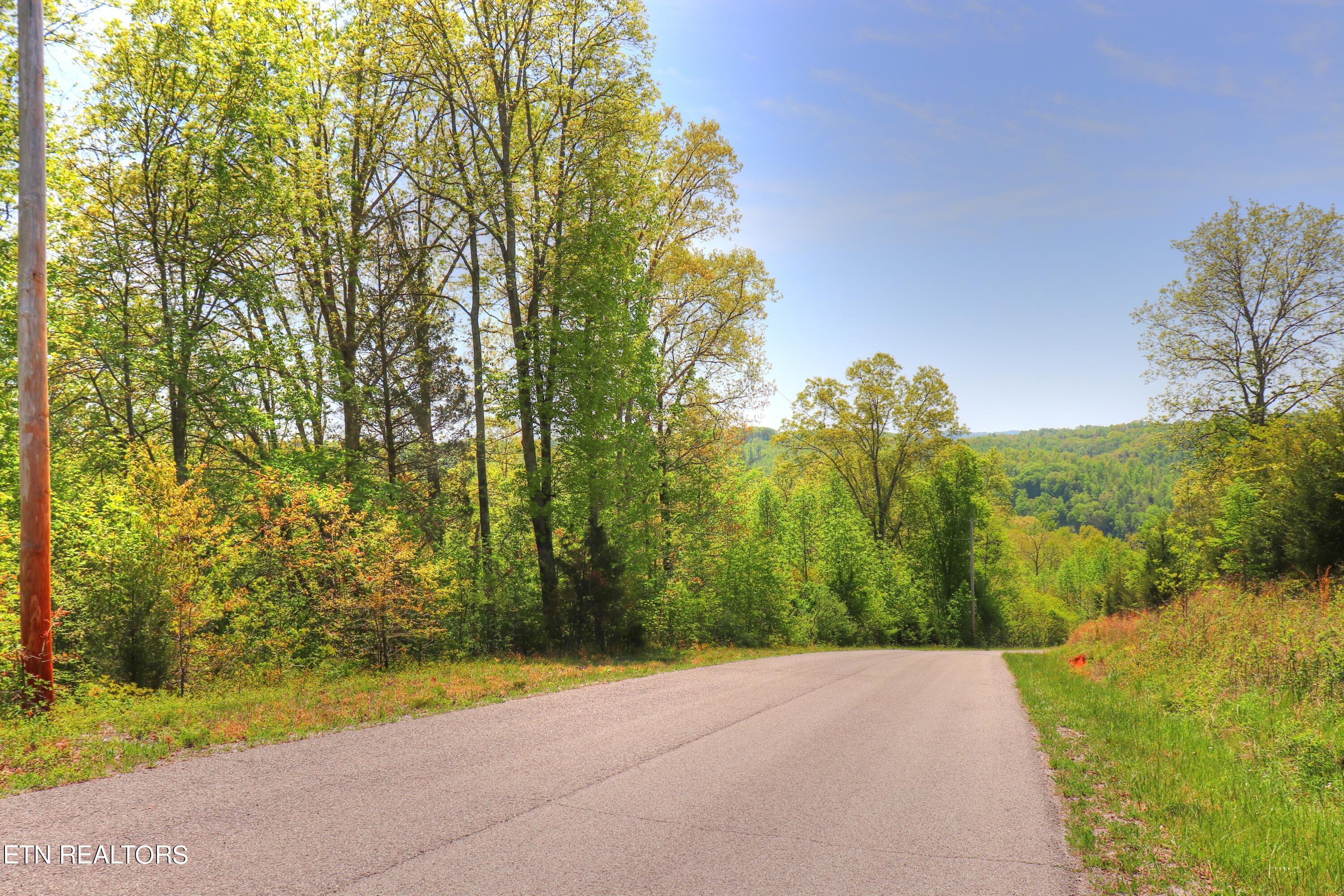 Lot 172 Saddleridge Drive, Speedwell, TN - Norris Lake Real Estate - Image# 6