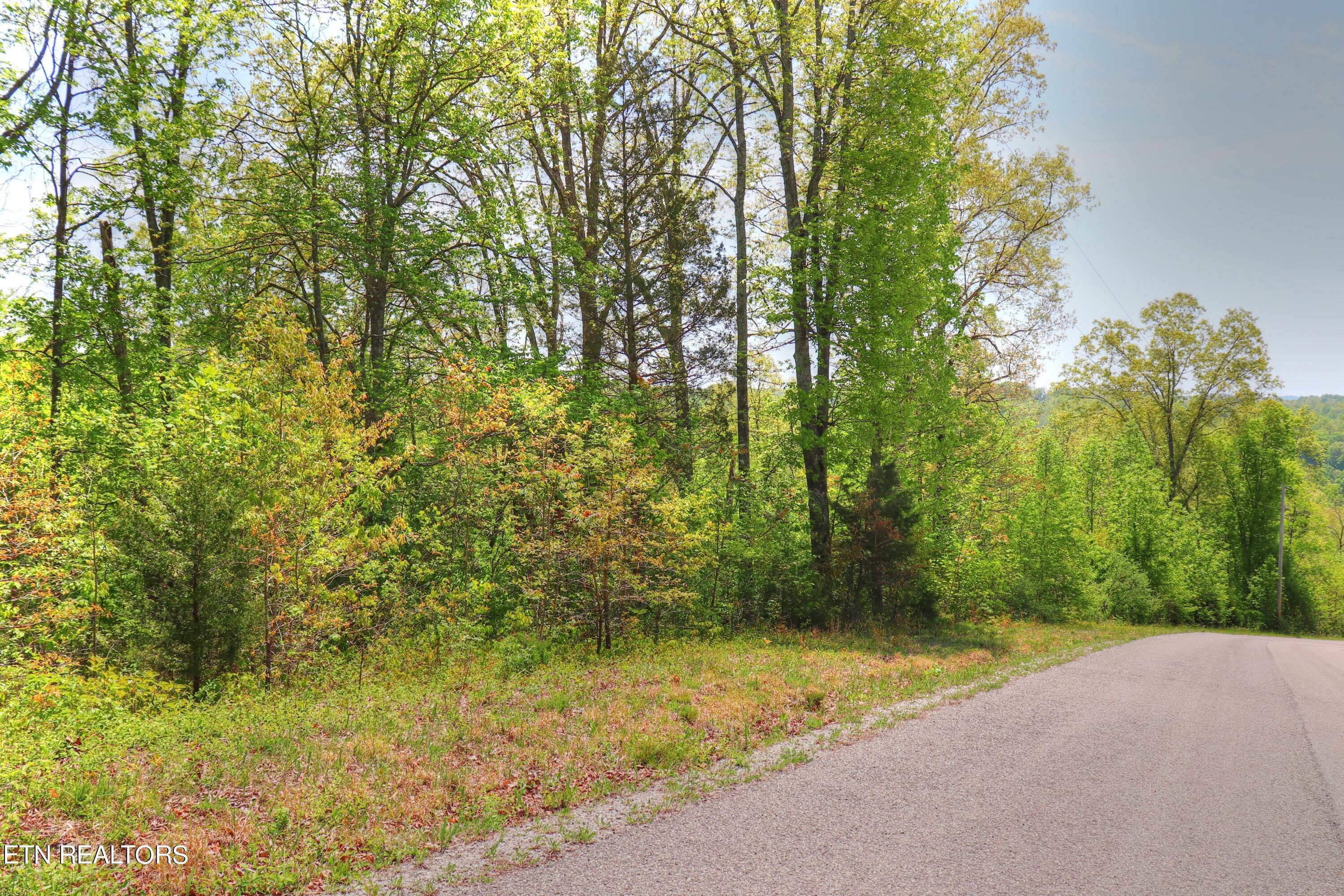 Lot 172 Saddleridge Drive, Speedwell, TN - Norris Lake Real Estate - Image# 7