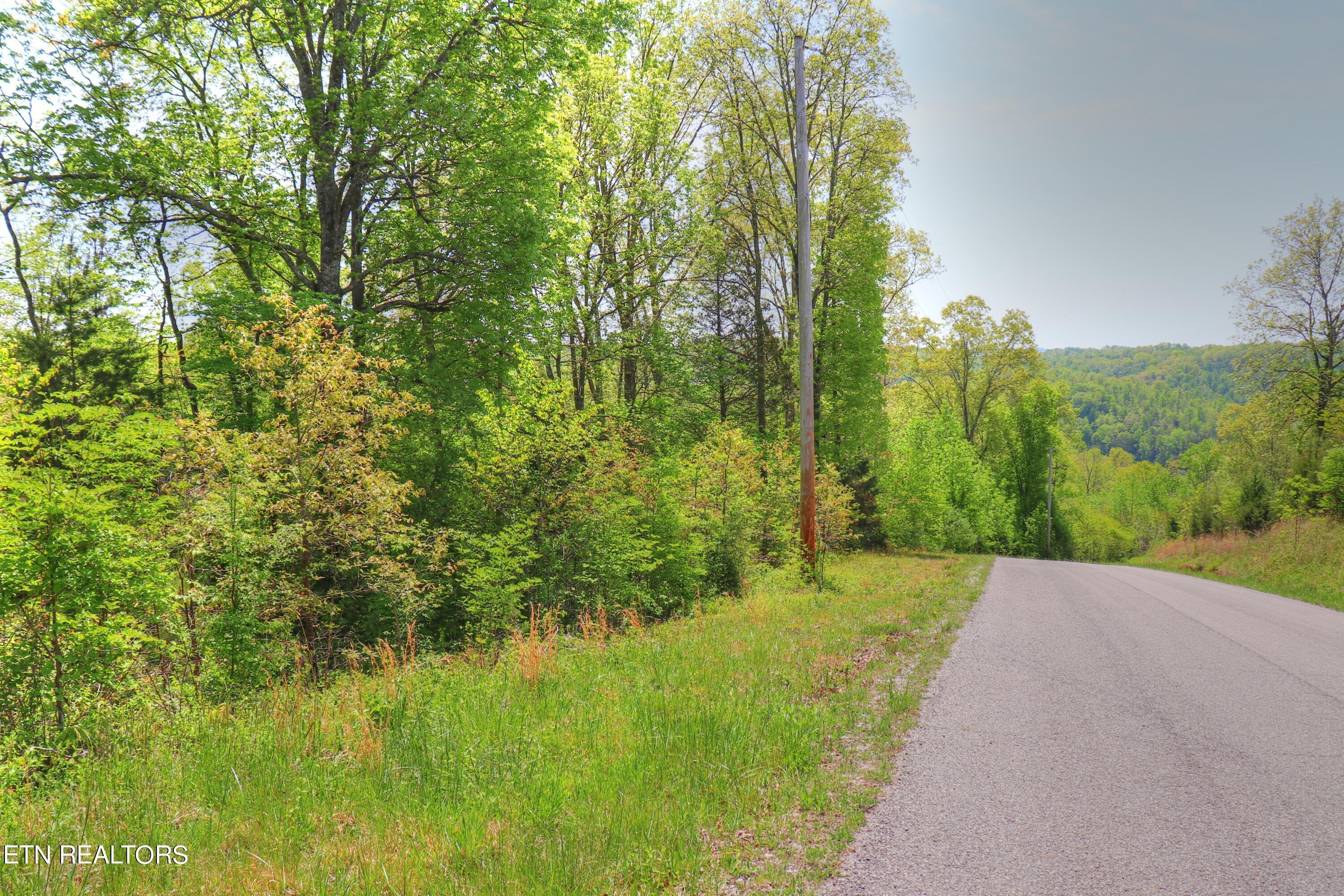 Lot 172 Saddleridge Drive, Speedwell, TN - Norris Lake Real Estate - Image# 15