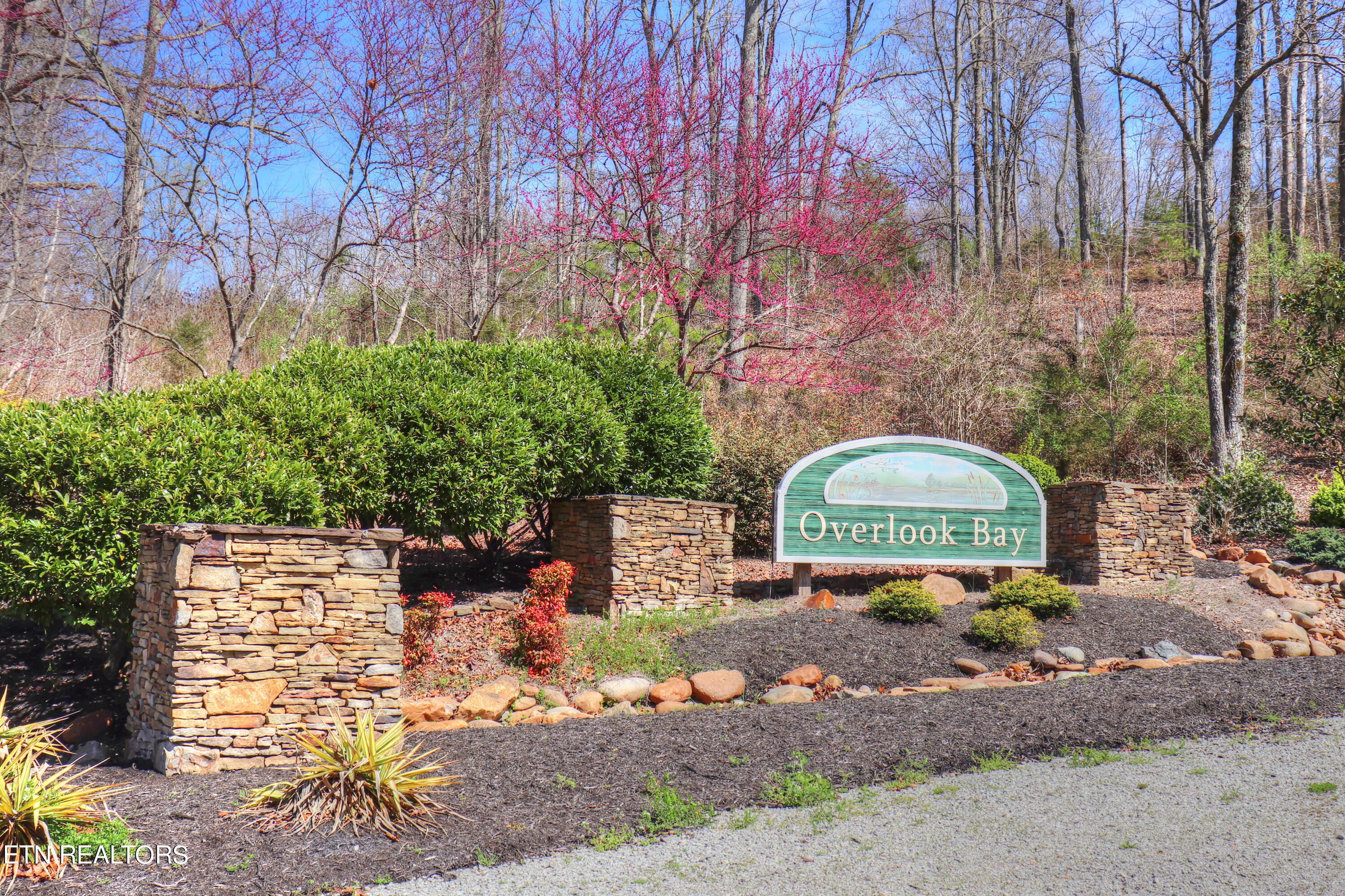 Lot 172 Saddleridge Drive, Speedwell, TN - Norris Lake Real Estate - Image# 18