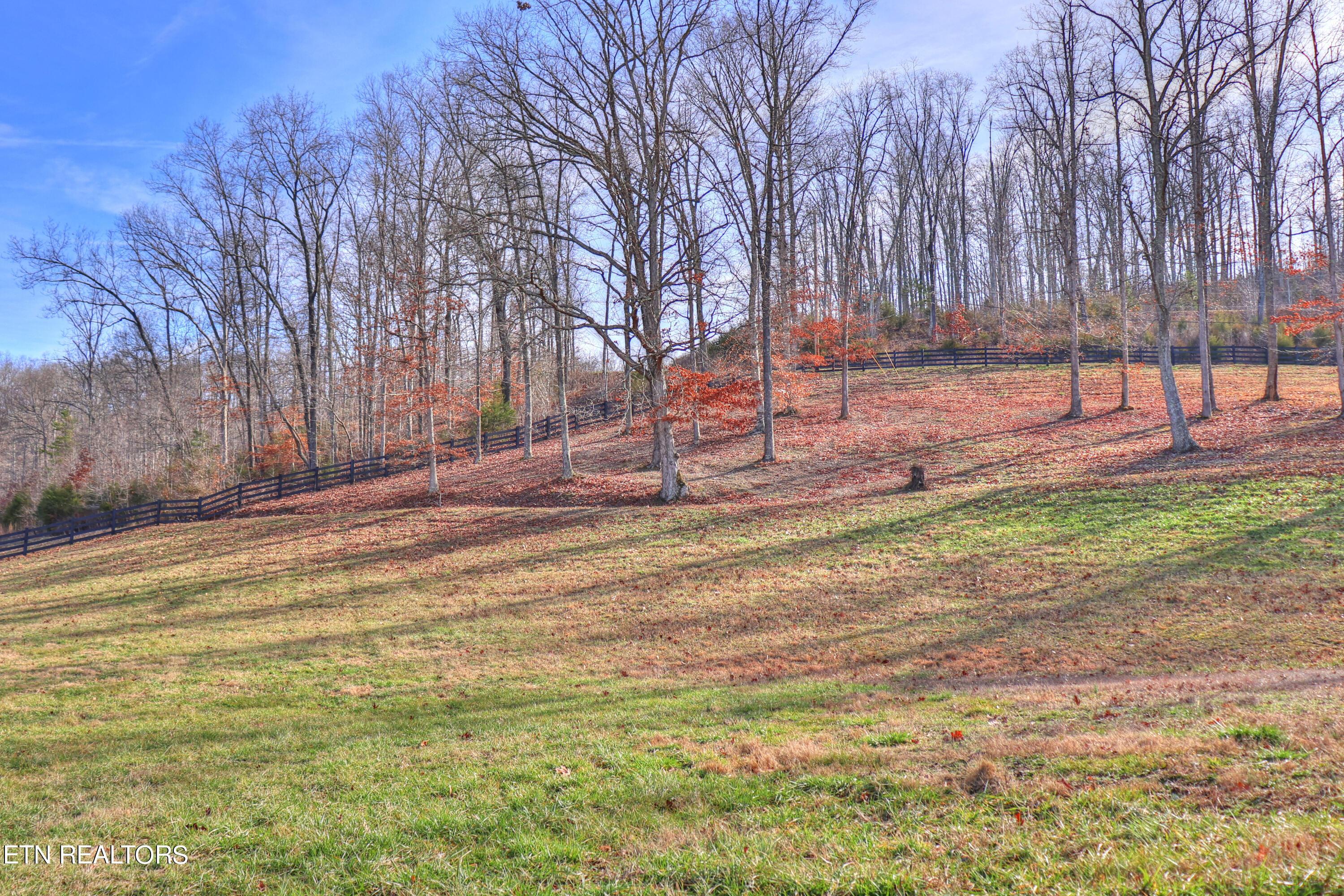 Lot 172 Saddleridge Drive, Speedwell, TN - Norris Lake Real Estate - Image# 25