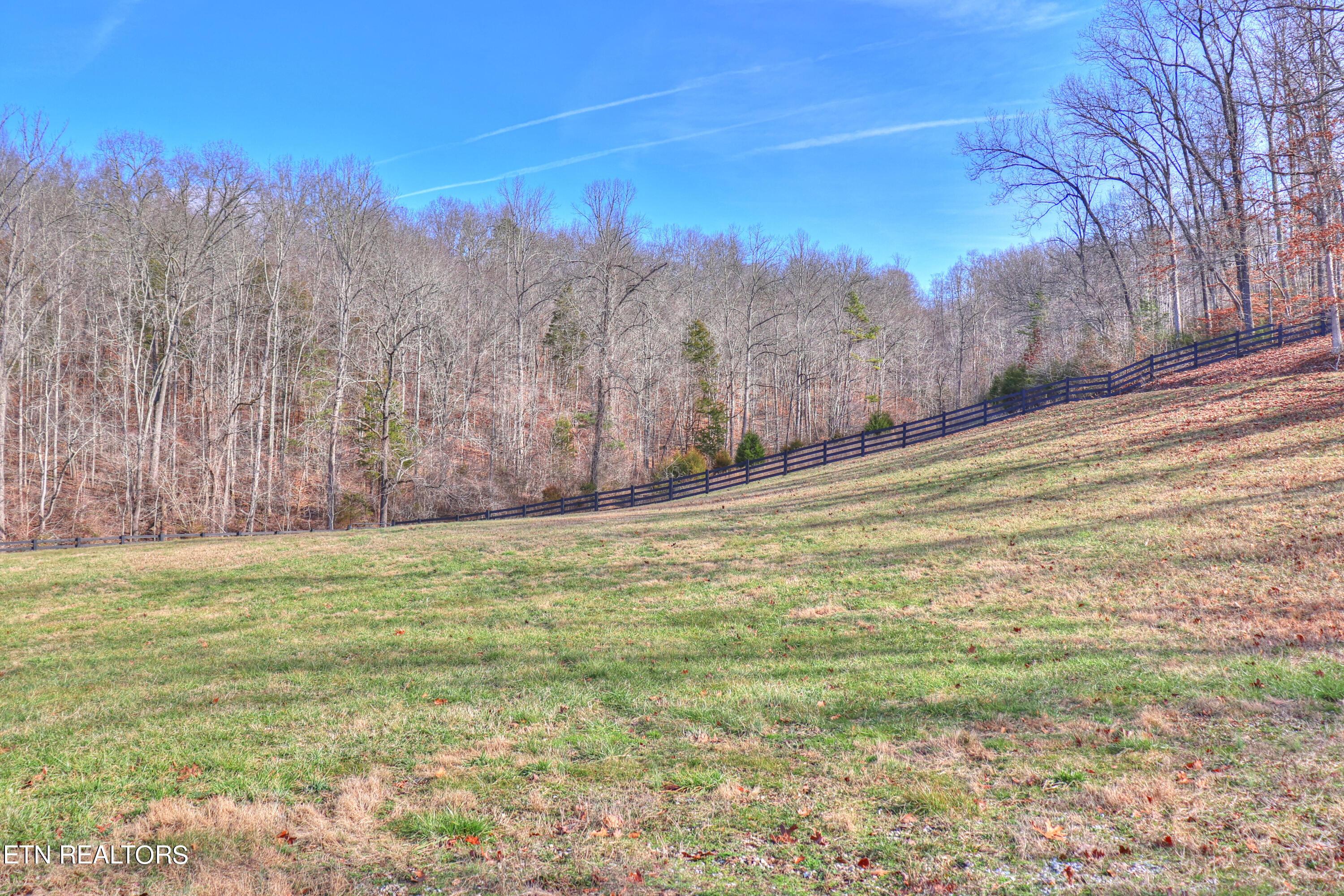 Lot 172 Saddleridge Drive, Speedwell, TN - Norris Lake Real Estate - Image# 26