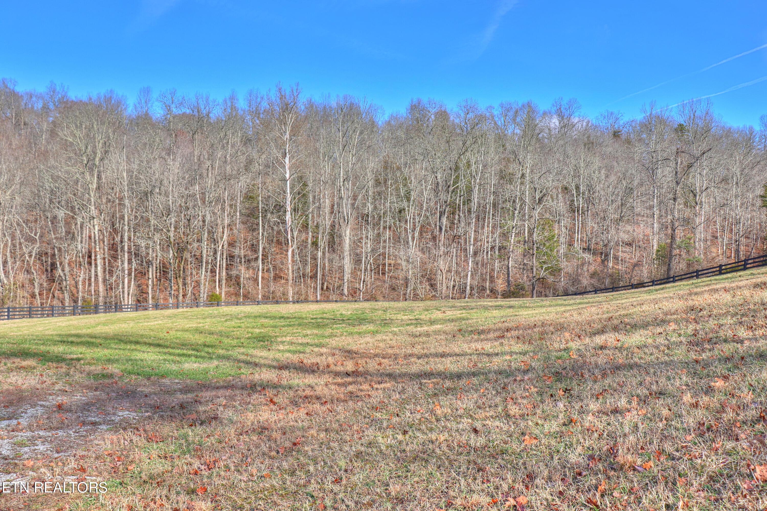 Lot 172 Saddleridge Drive, Speedwell, TN - Norris Lake Real Estate - Image# 27
