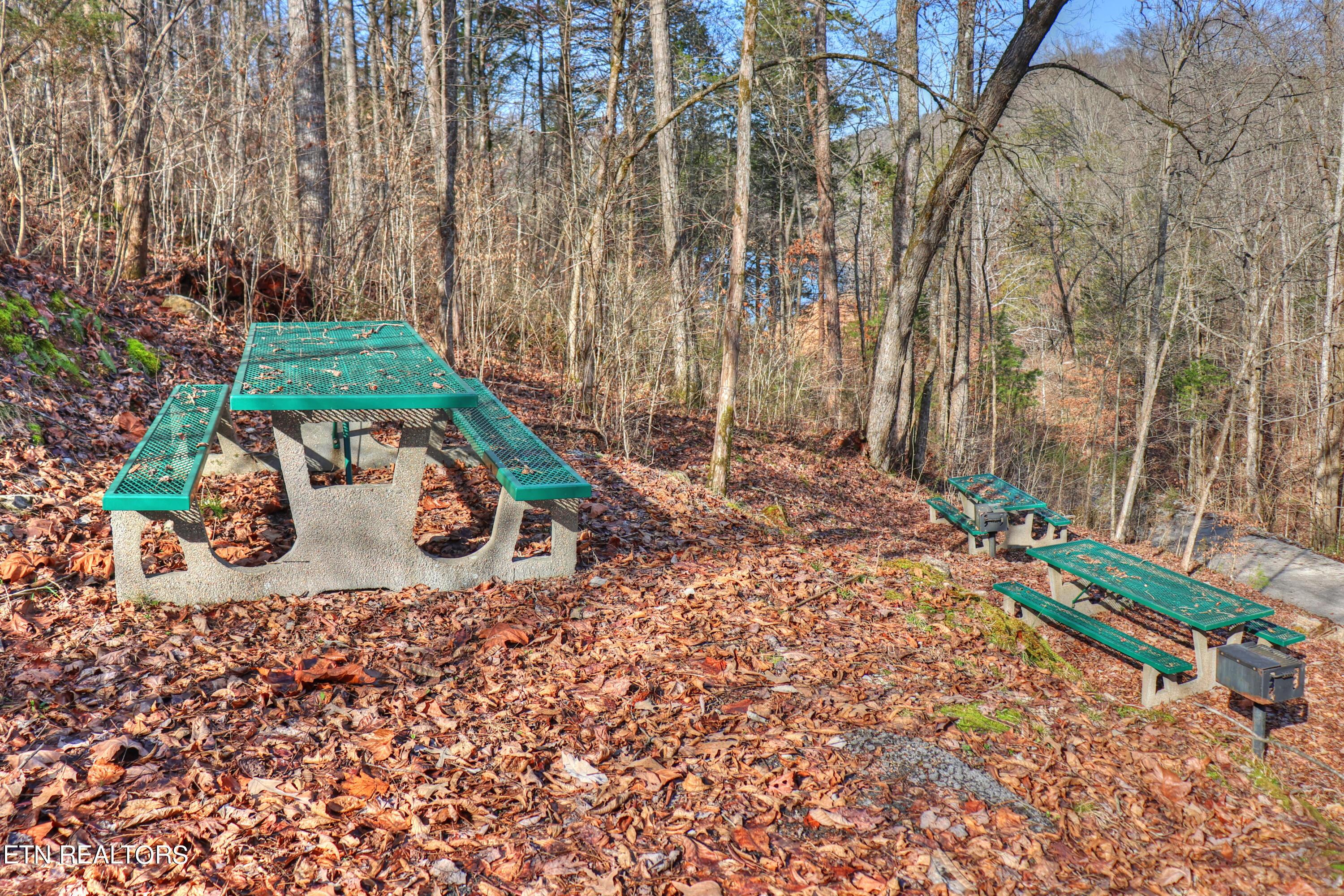 Lot 172 Saddleridge Drive, Speedwell, TN - Norris Lake Real Estate - Image# 29