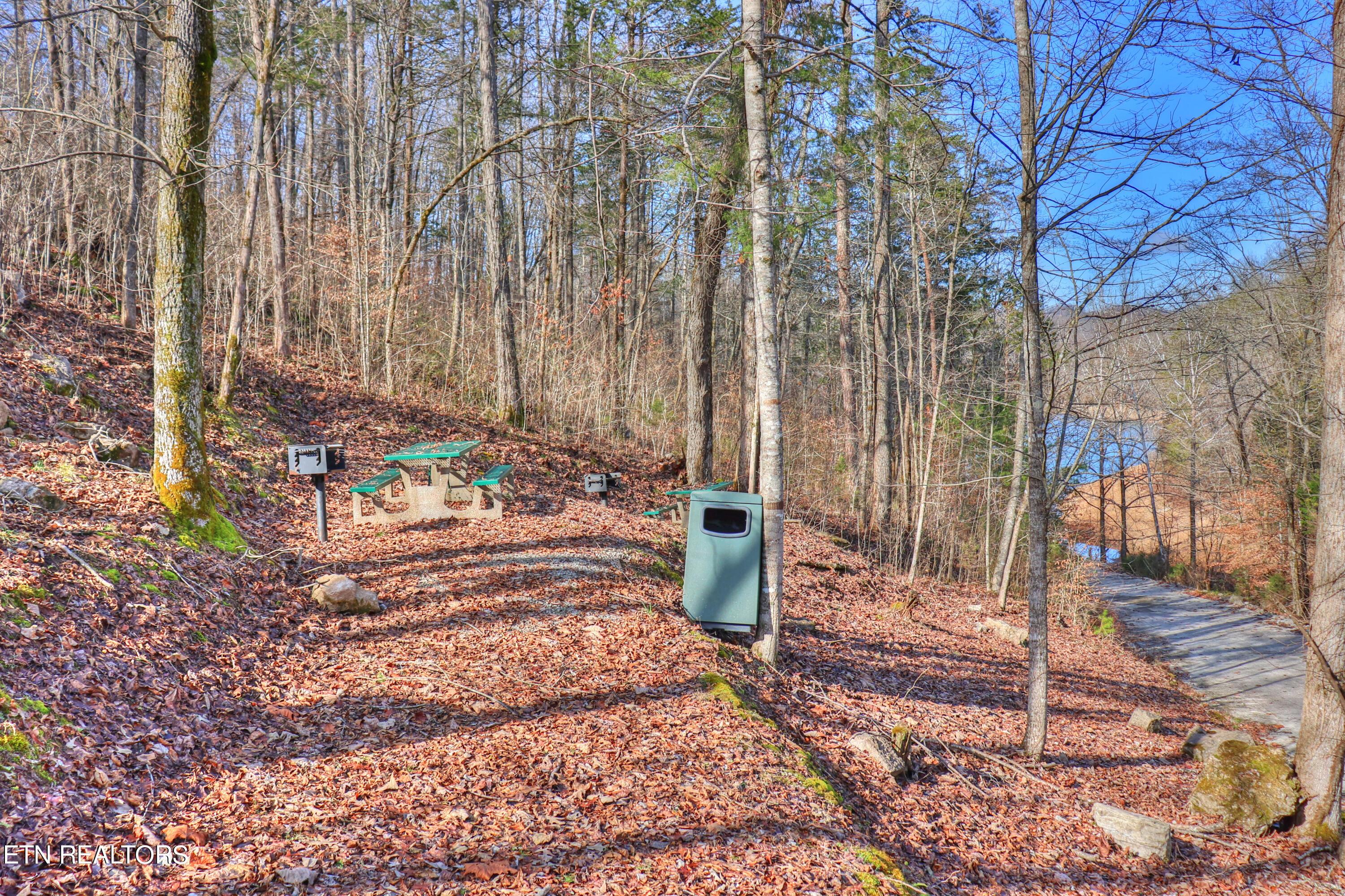 Lot 172 Saddleridge Drive, Speedwell, TN - Norris Lake Real Estate - Image# 28