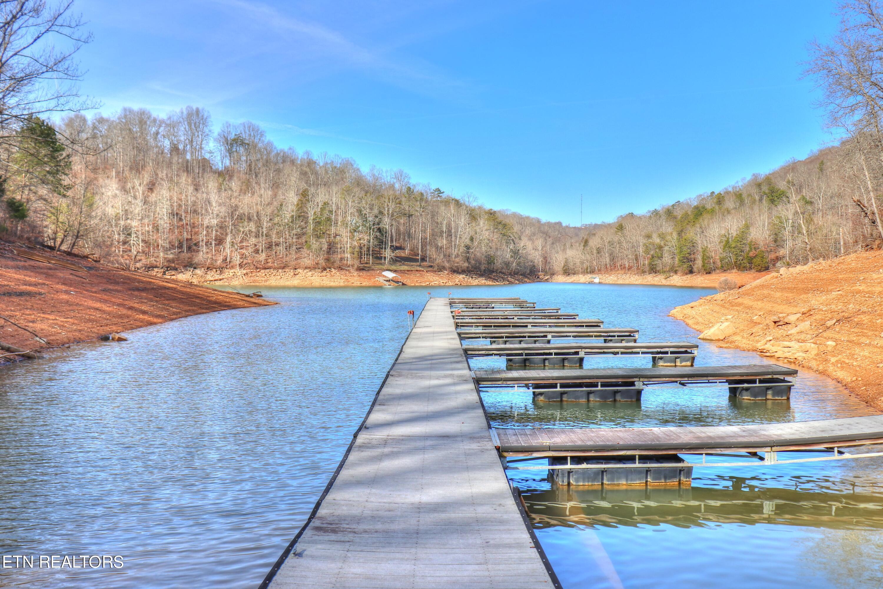 Lot 172 Saddleridge Drive, Speedwell, TN - Norris Lake Real Estate - Image# 33