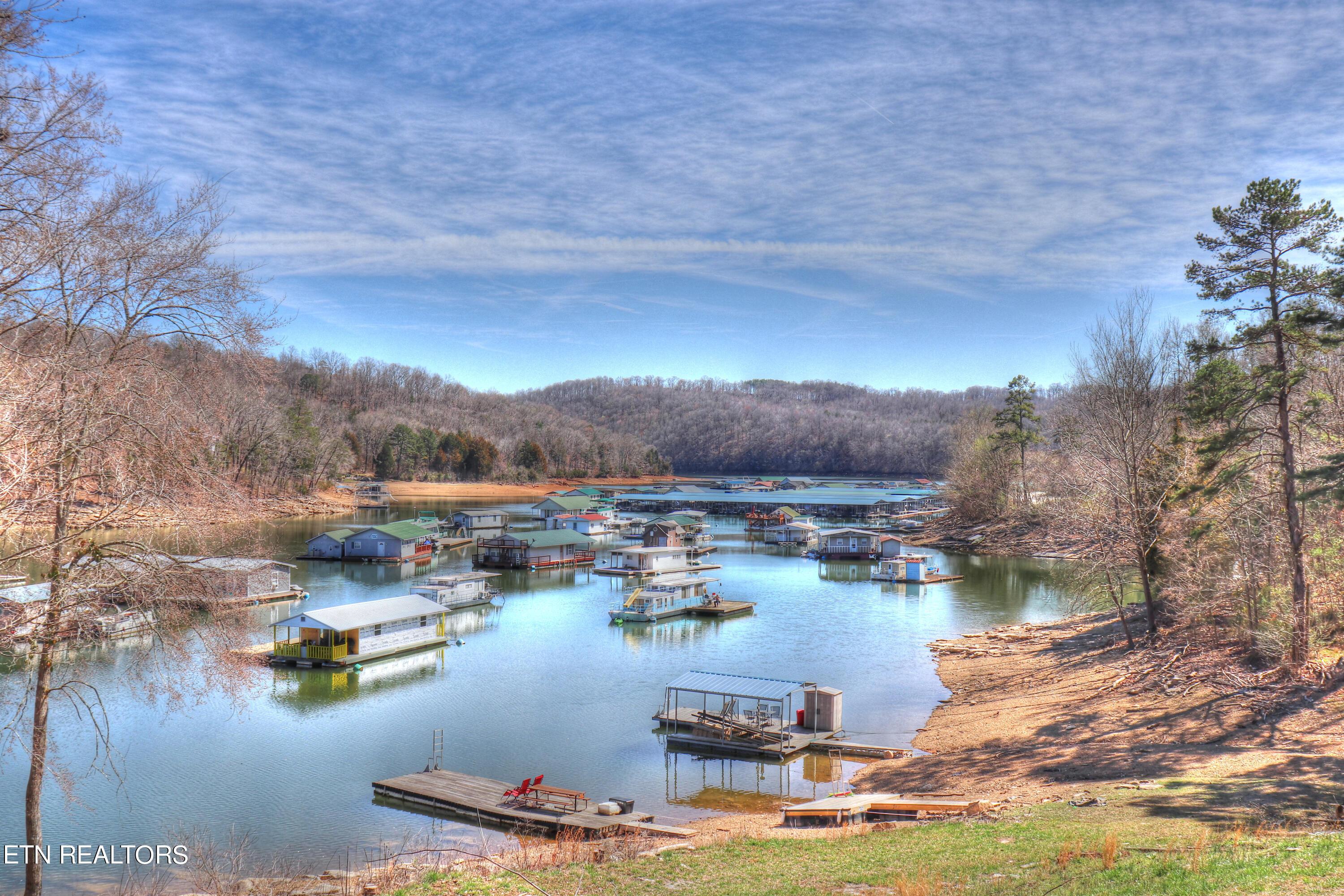 Lot 172 Saddleridge Drive, Speedwell, TN - Norris Lake Real Estate - Image# 41