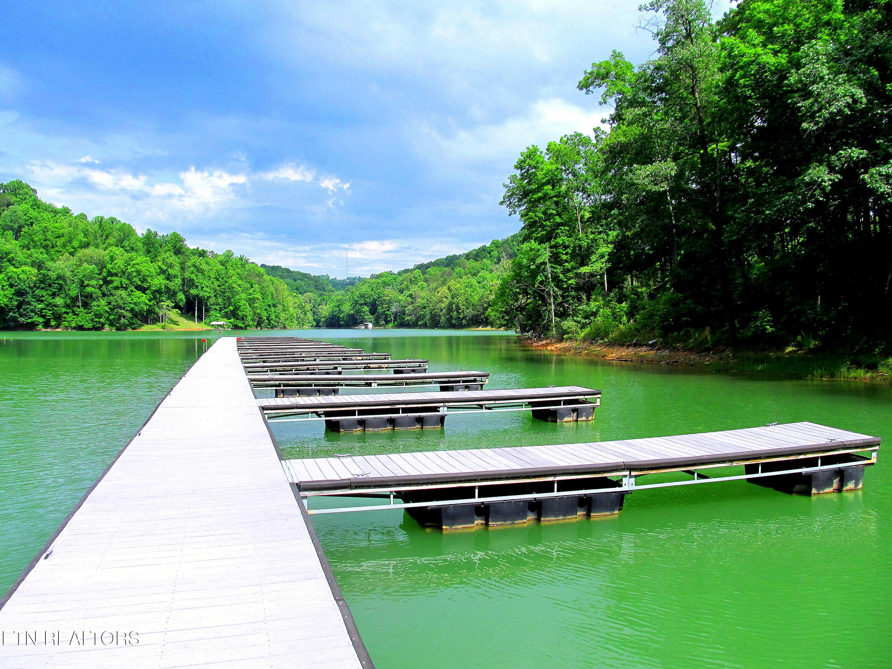 Lot 172 Saddleridge Drive, Speedwell, TN - Norris Lake Real Estate - Image# 34