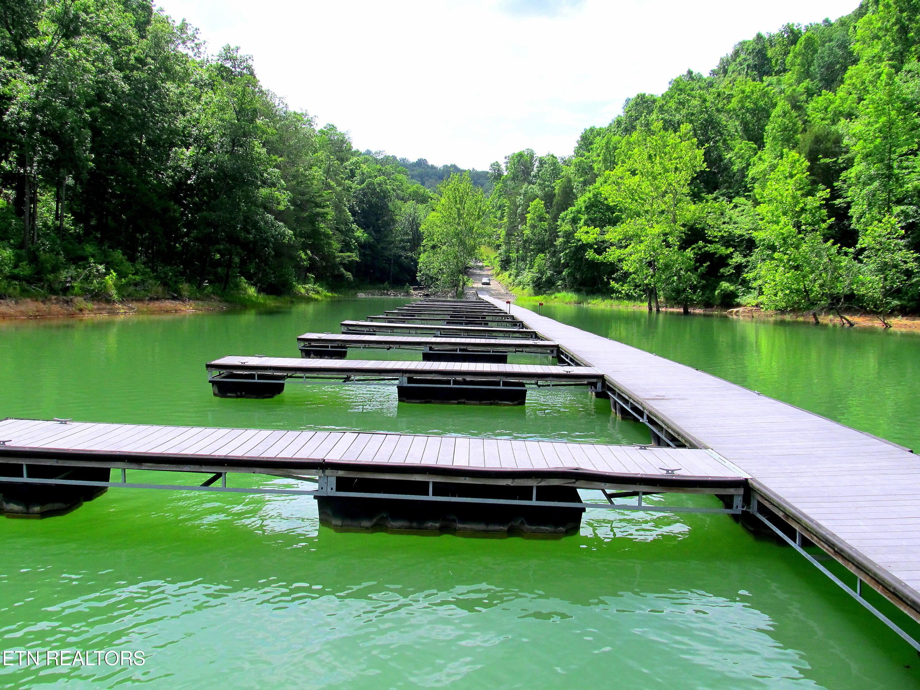 Lot 172 Saddleridge Drive, Speedwell, TN - Norris Lake Real Estate - Image# 38