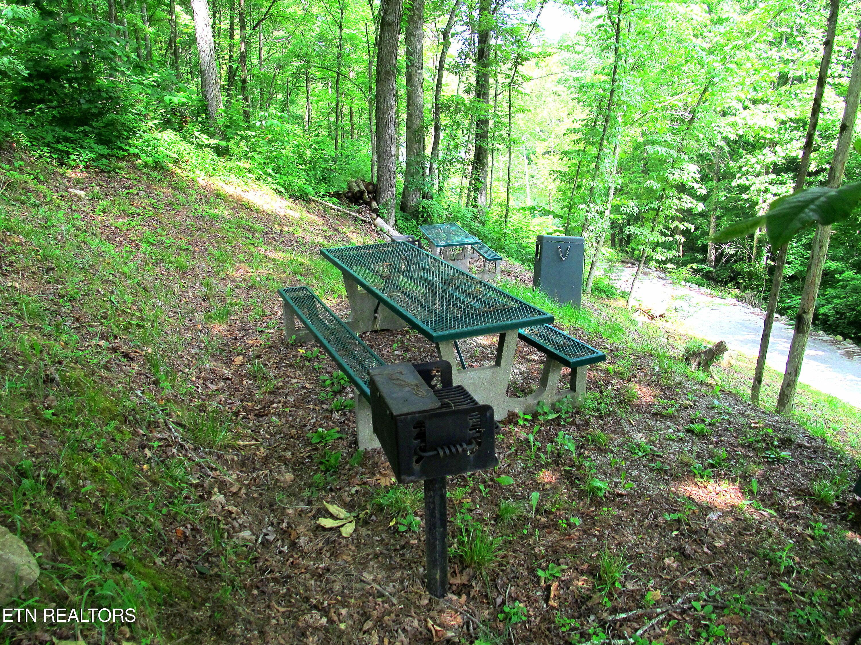 Lot 172 Saddleridge Drive, Speedwell, TN - Norris Lake Real Estate - Image# 30