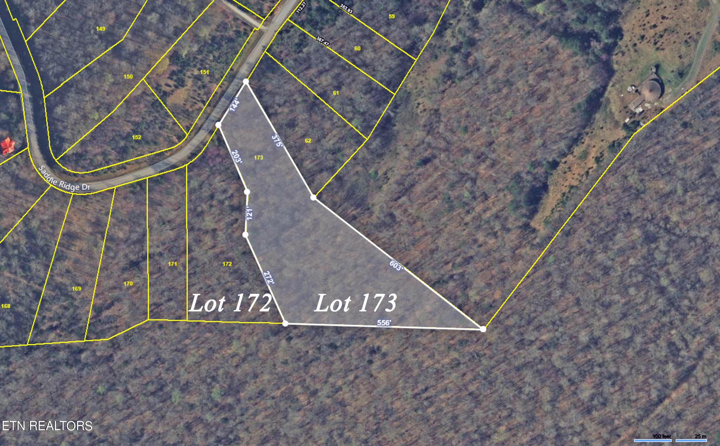 Norris Lake Real Estate - Image# 4