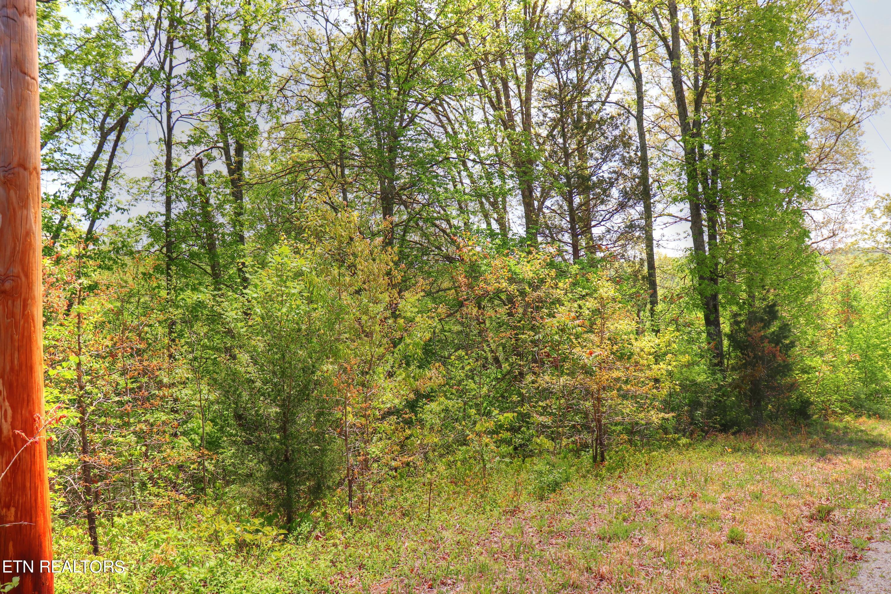 Norris Lake Real Estate - Image# 9