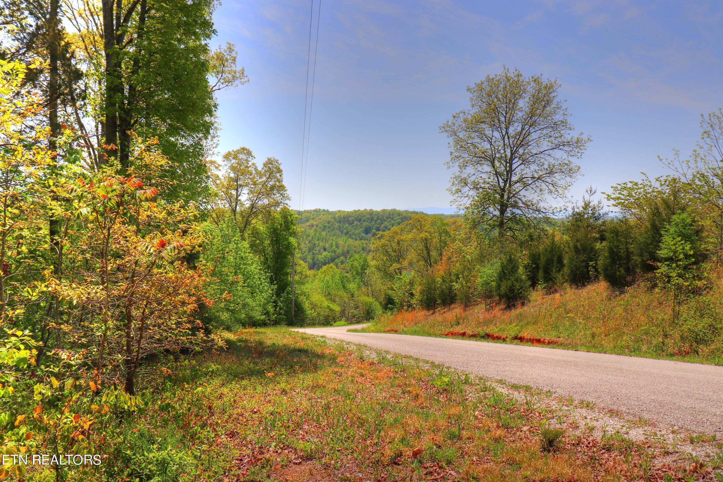 Norris Lake Real Estate - Image# 10