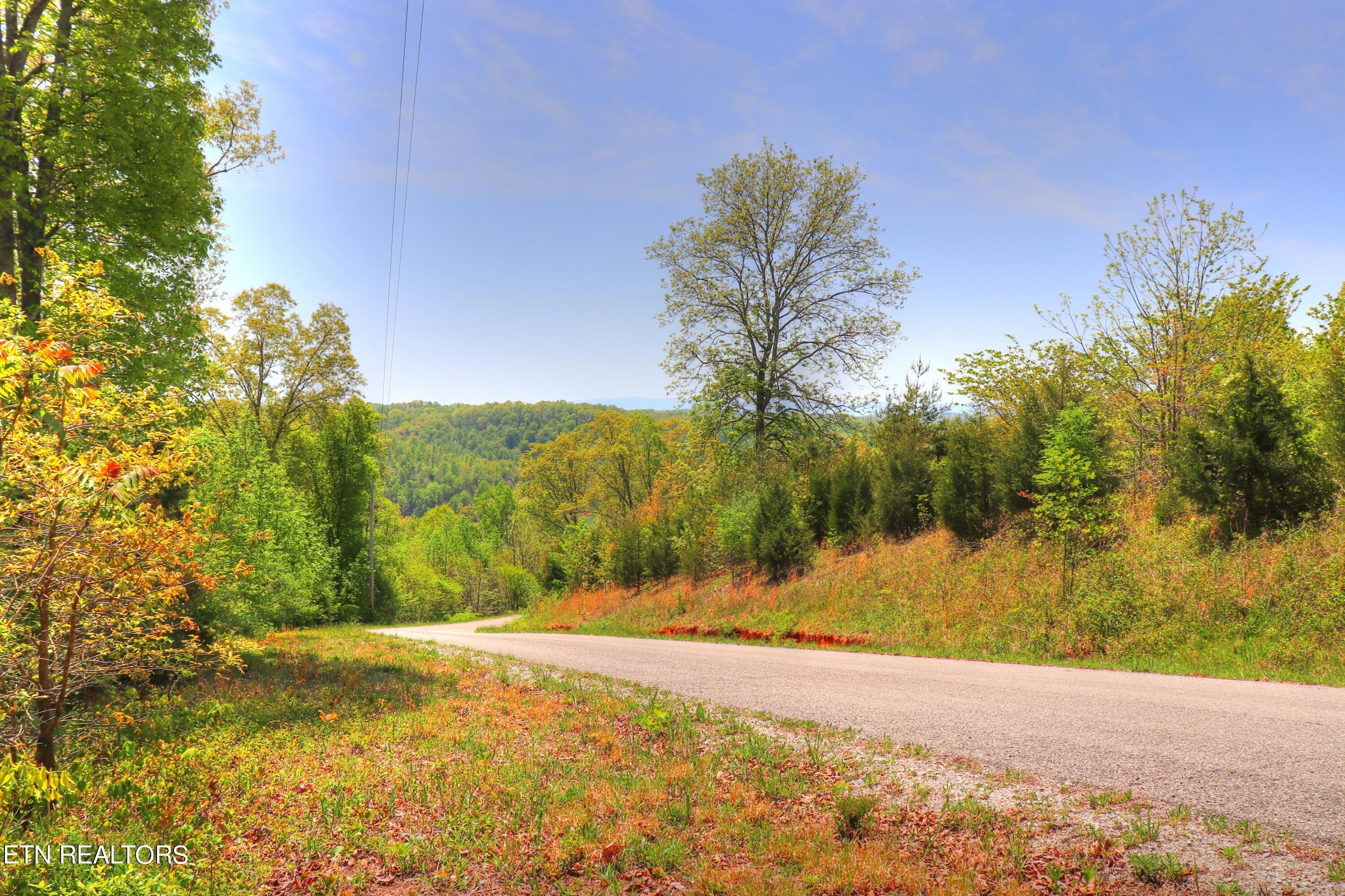 Norris Lake Real Estate - Image# 11