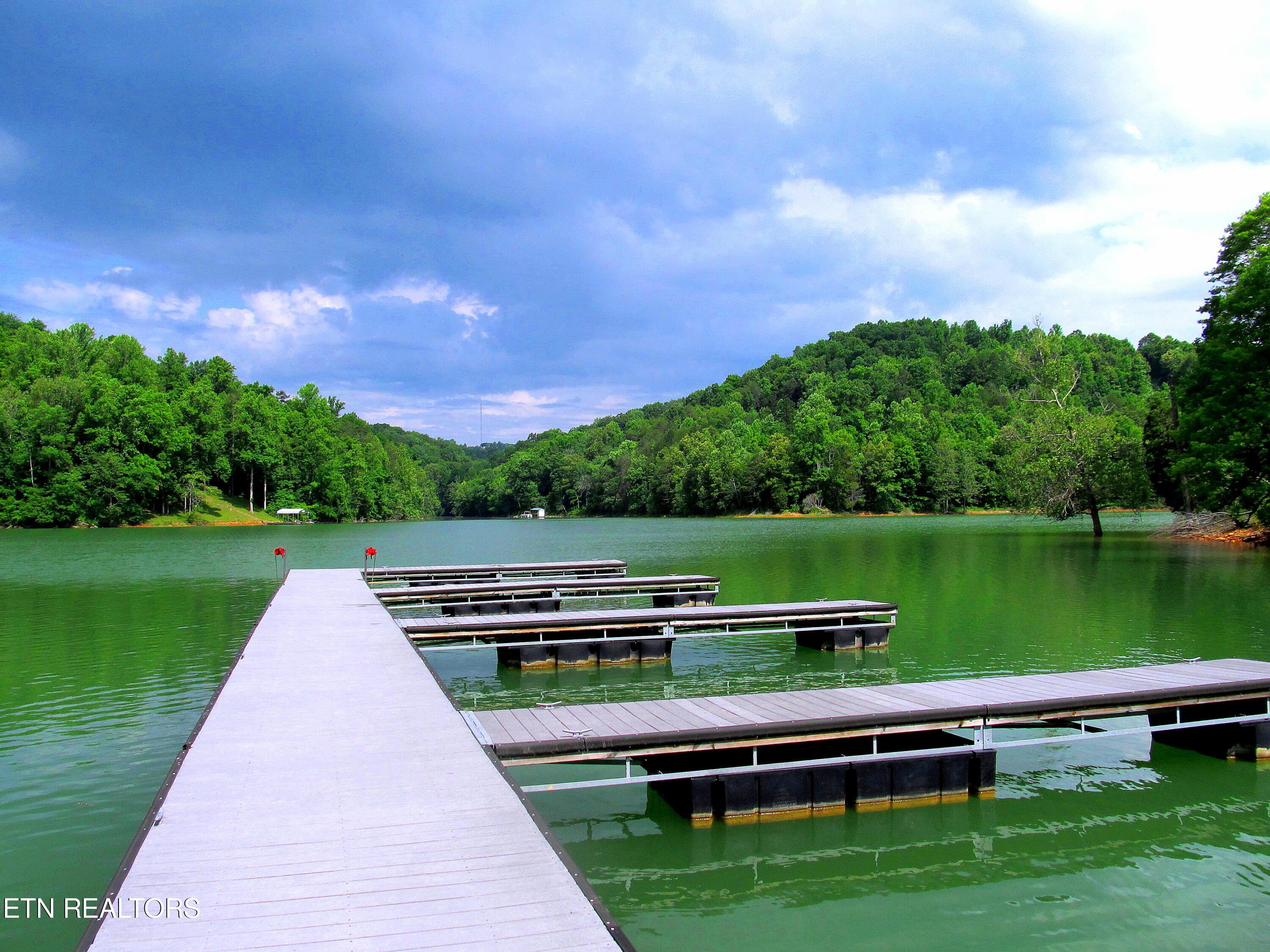 Norris Lake Real Estate - Image# 41