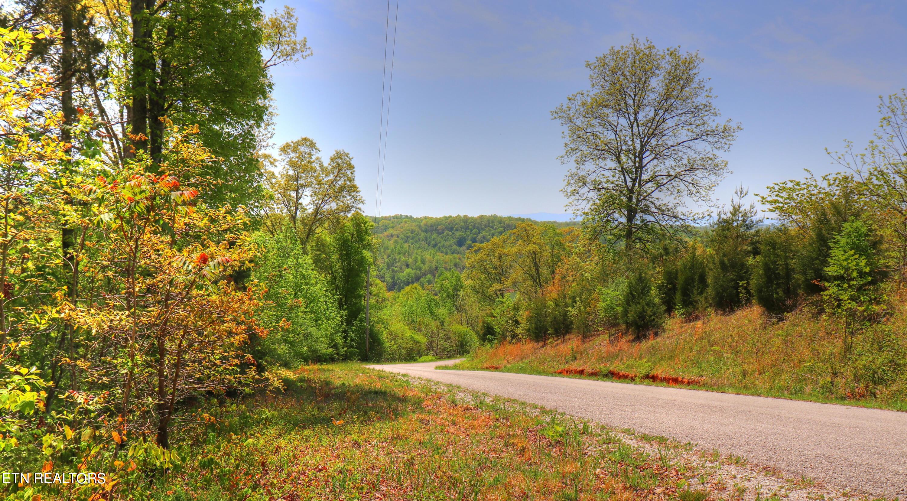 Norris Lake Real Estate - Image# 47