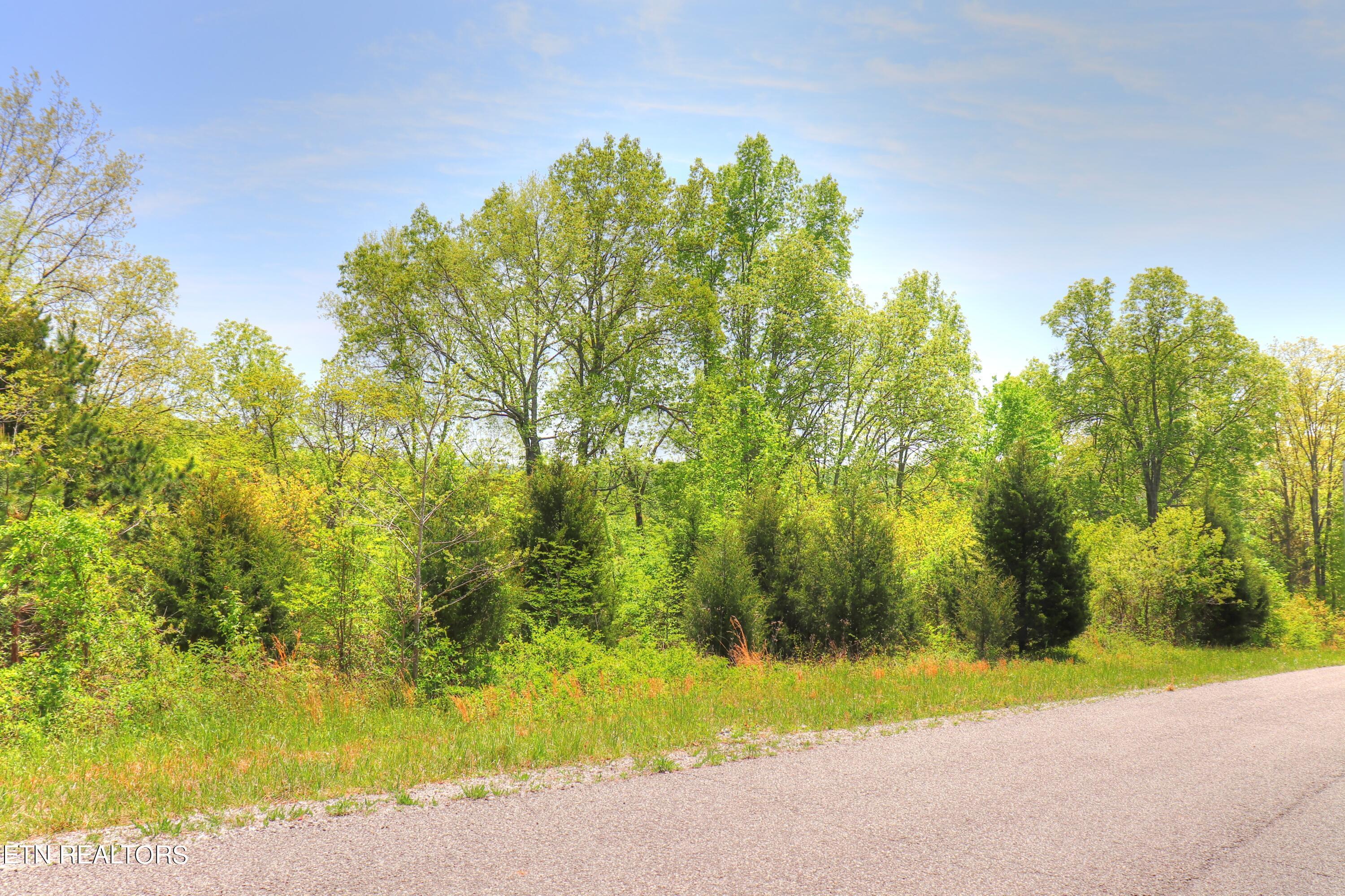 Lot 173 Saddleridge Drive, Speedwell, TN - Norris Lake Real Estate - Image# 6