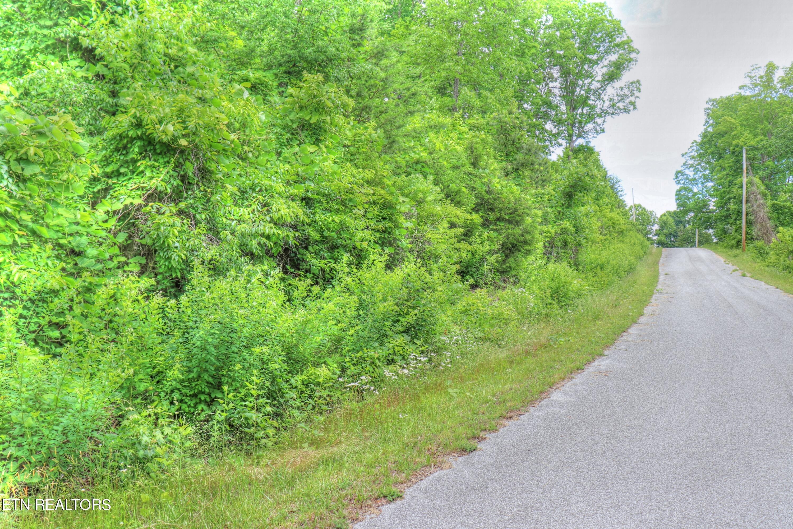 Norris Lake Real Estate - Image# 4