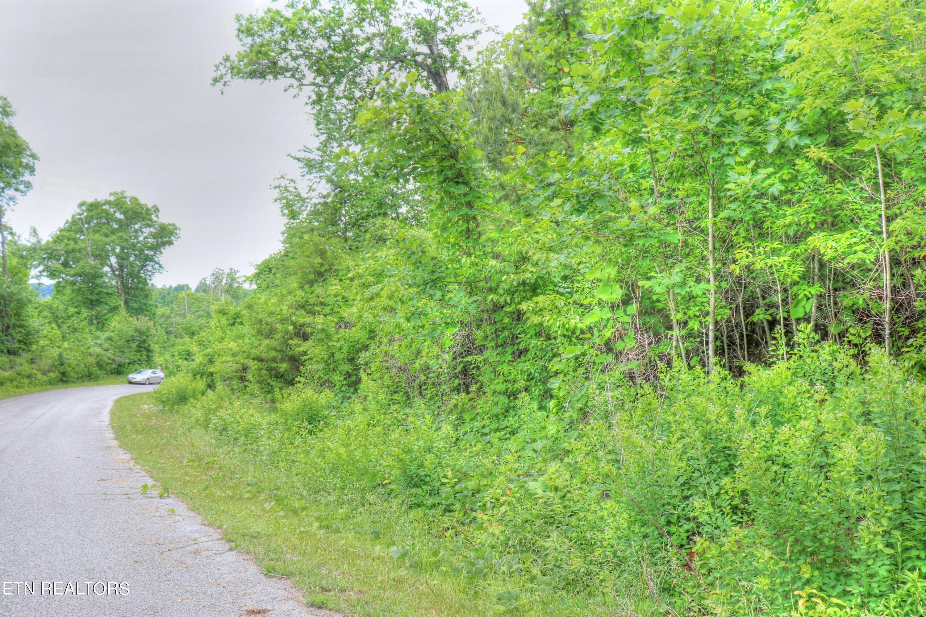 Norris Lake Real Estate - Image# 5