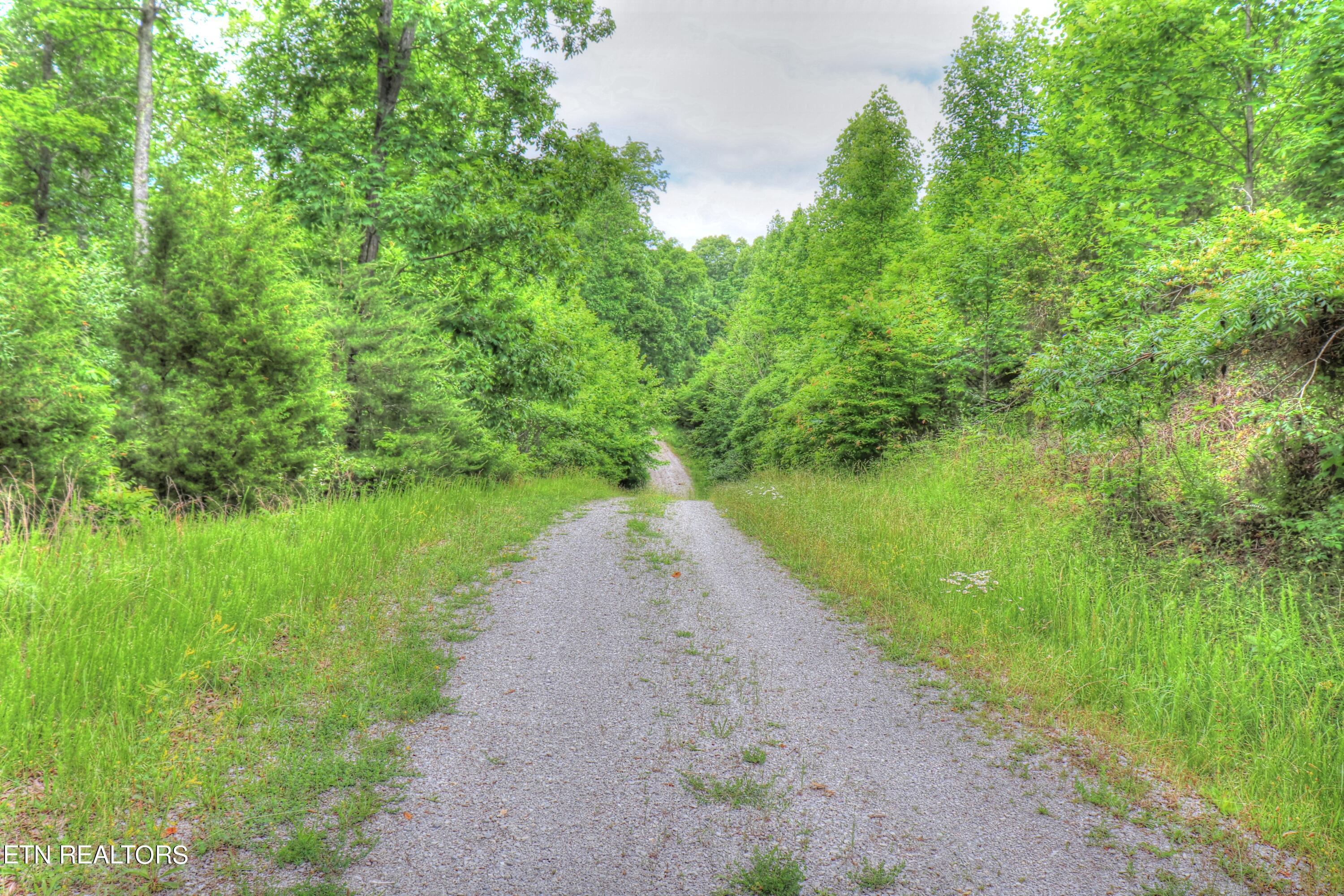 Norris Lake Real Estate - Image# 10