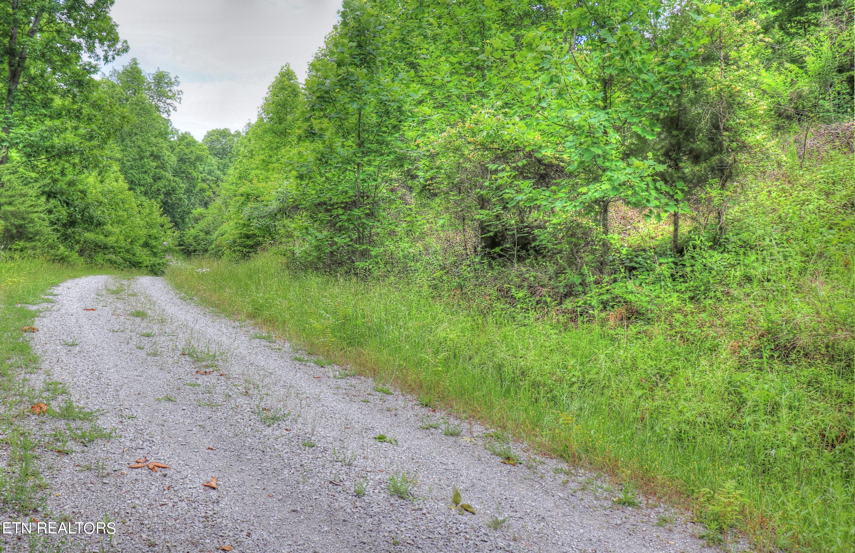Norris Lake Real Estate - Image# 11