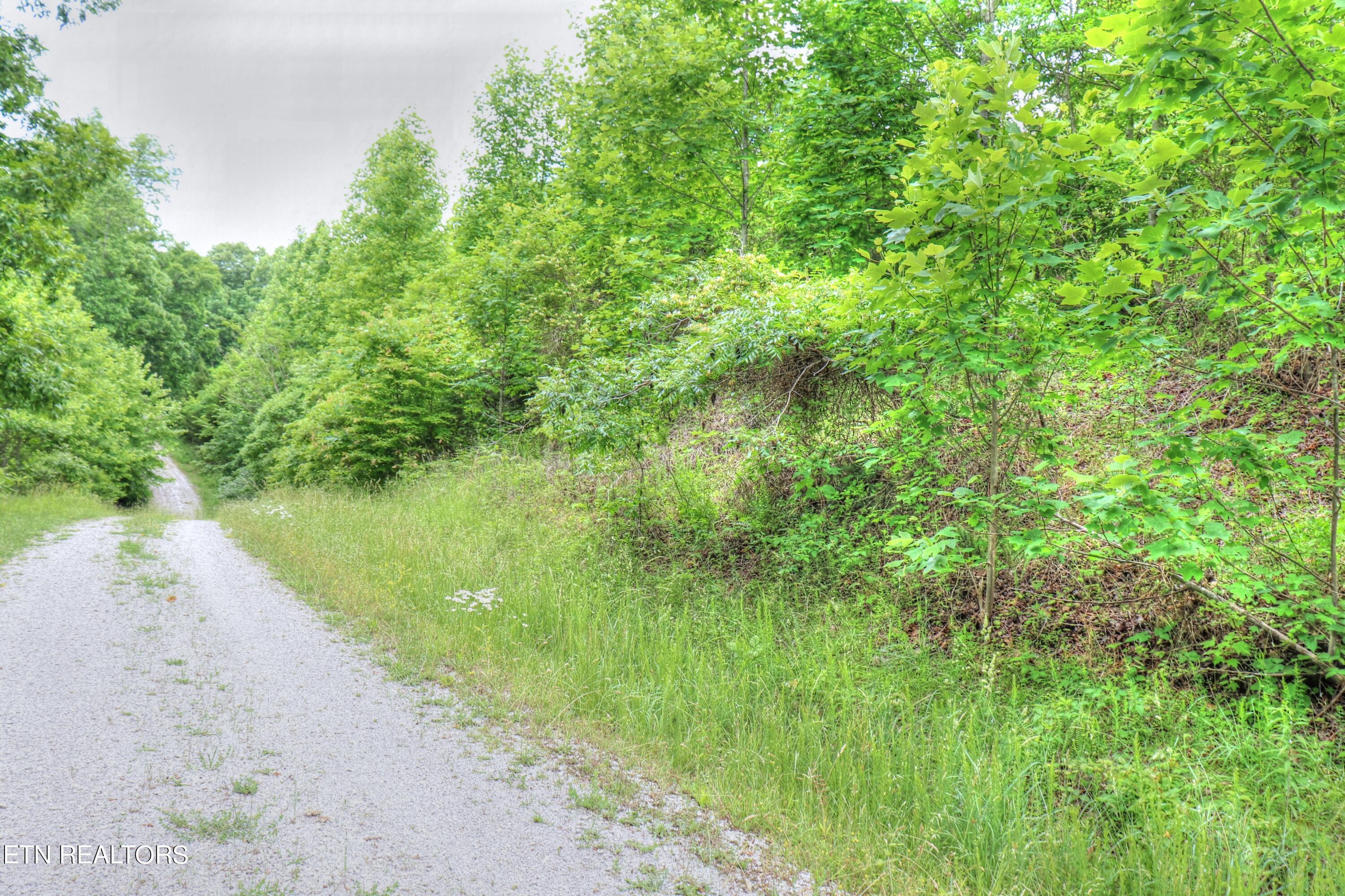 Norris Lake Real Estate - Image# 12