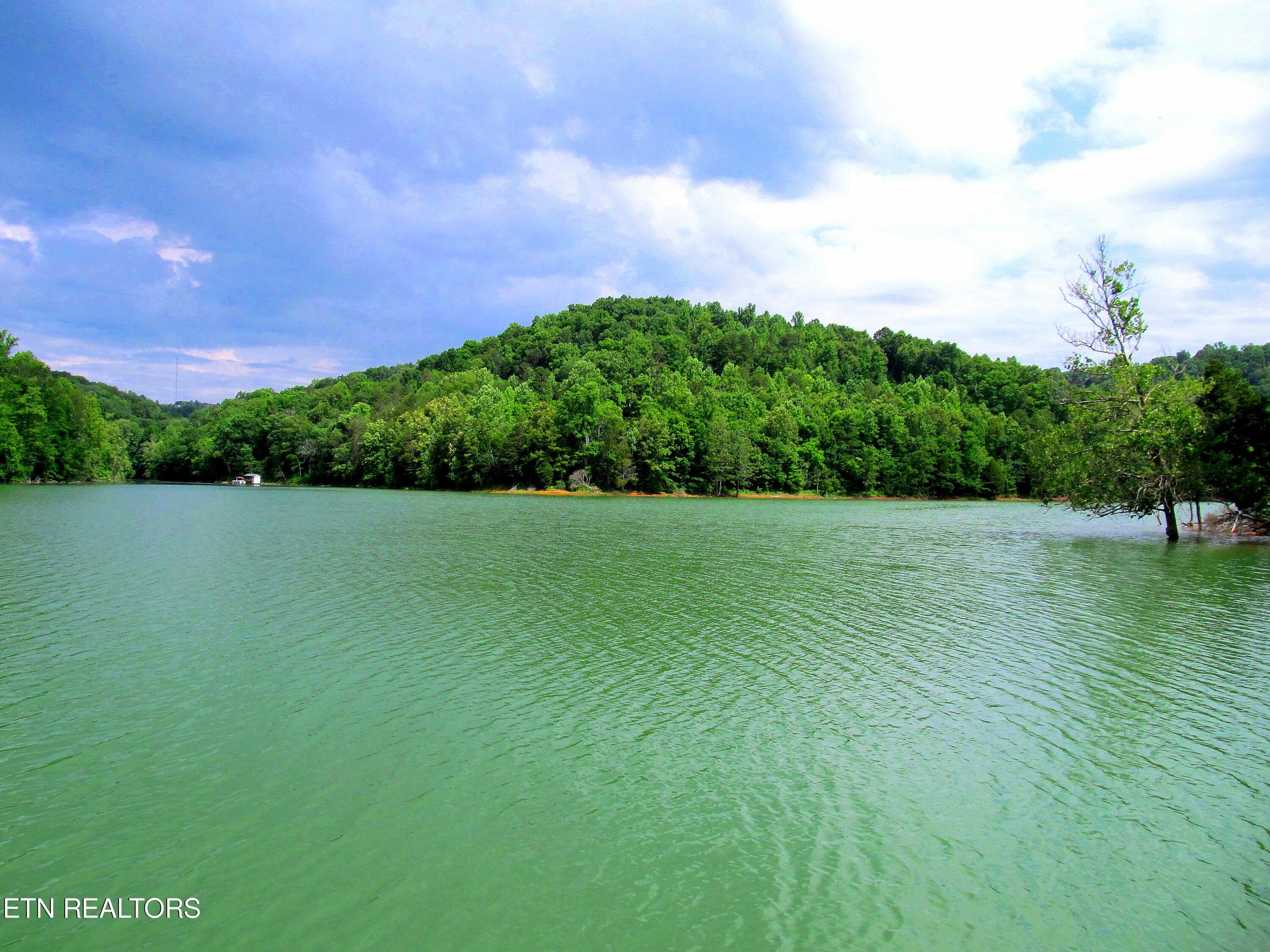 Norris Lake Real Estate - Image# 36