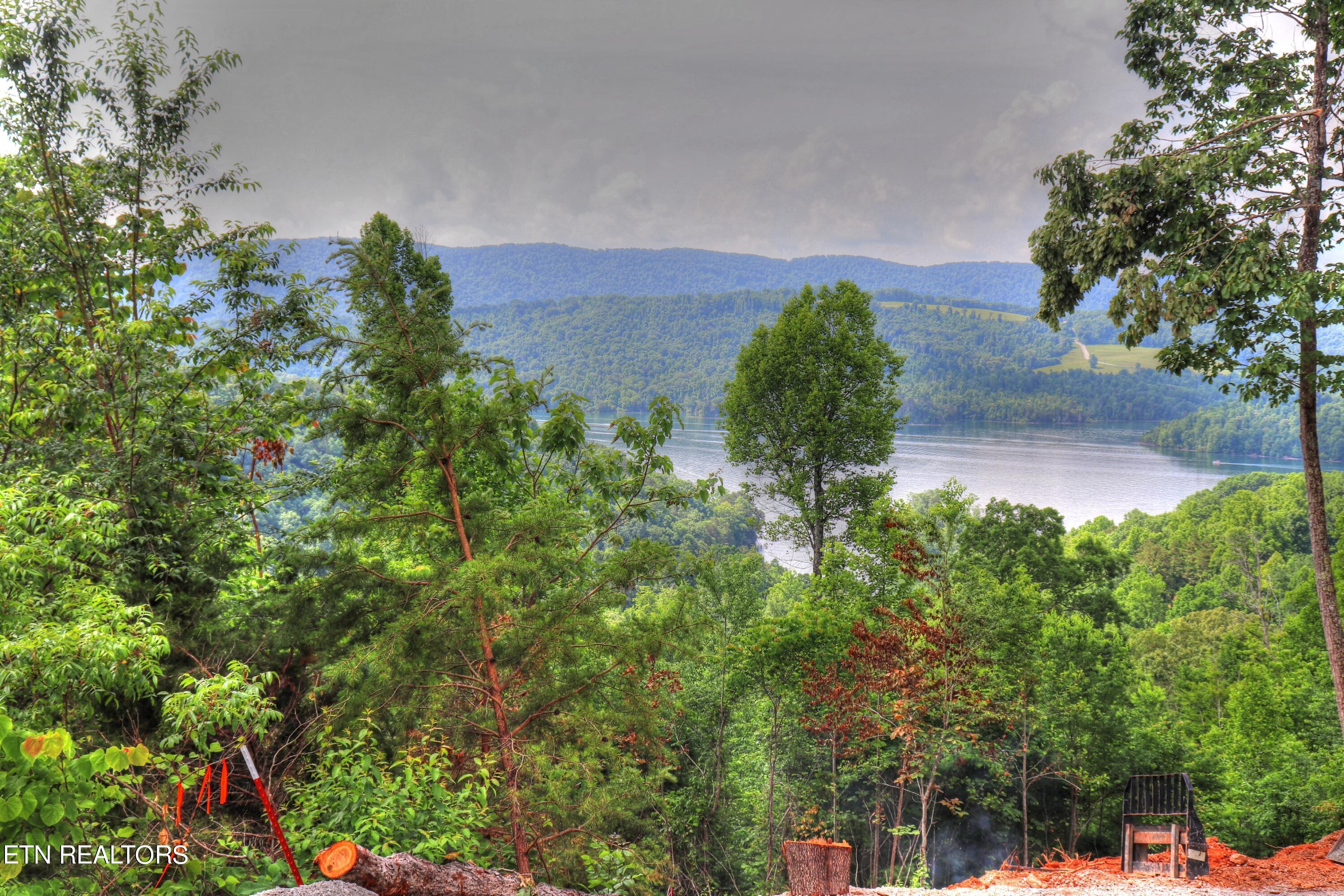 Lot 440 Feldspar Rd, New Tazewell, TN - Norris Lake Real Estate - Image# 2