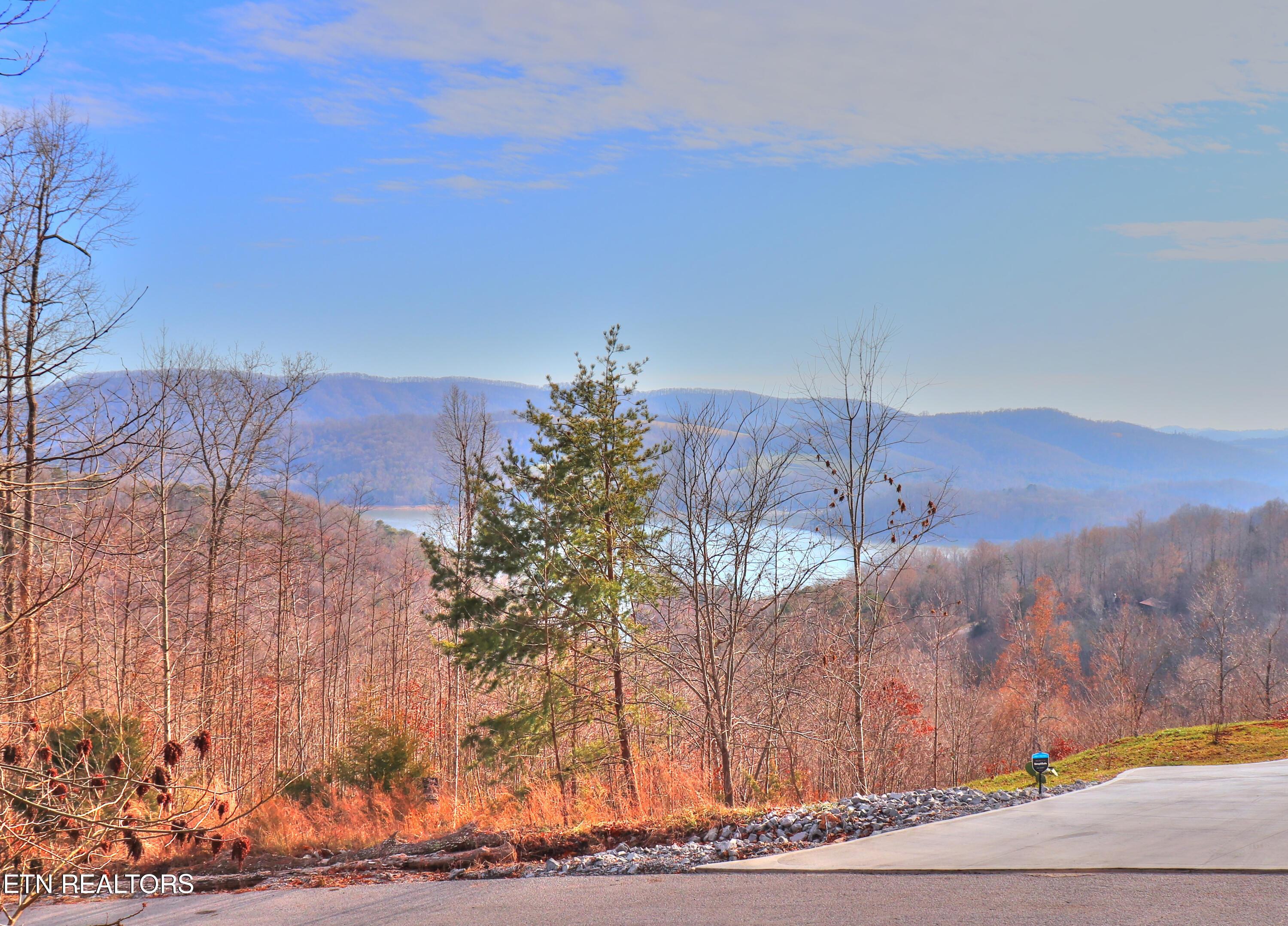 Lot 440 Feldspar Rd, New Tazewell, TN - Norris Lake Real Estate - Image# 9