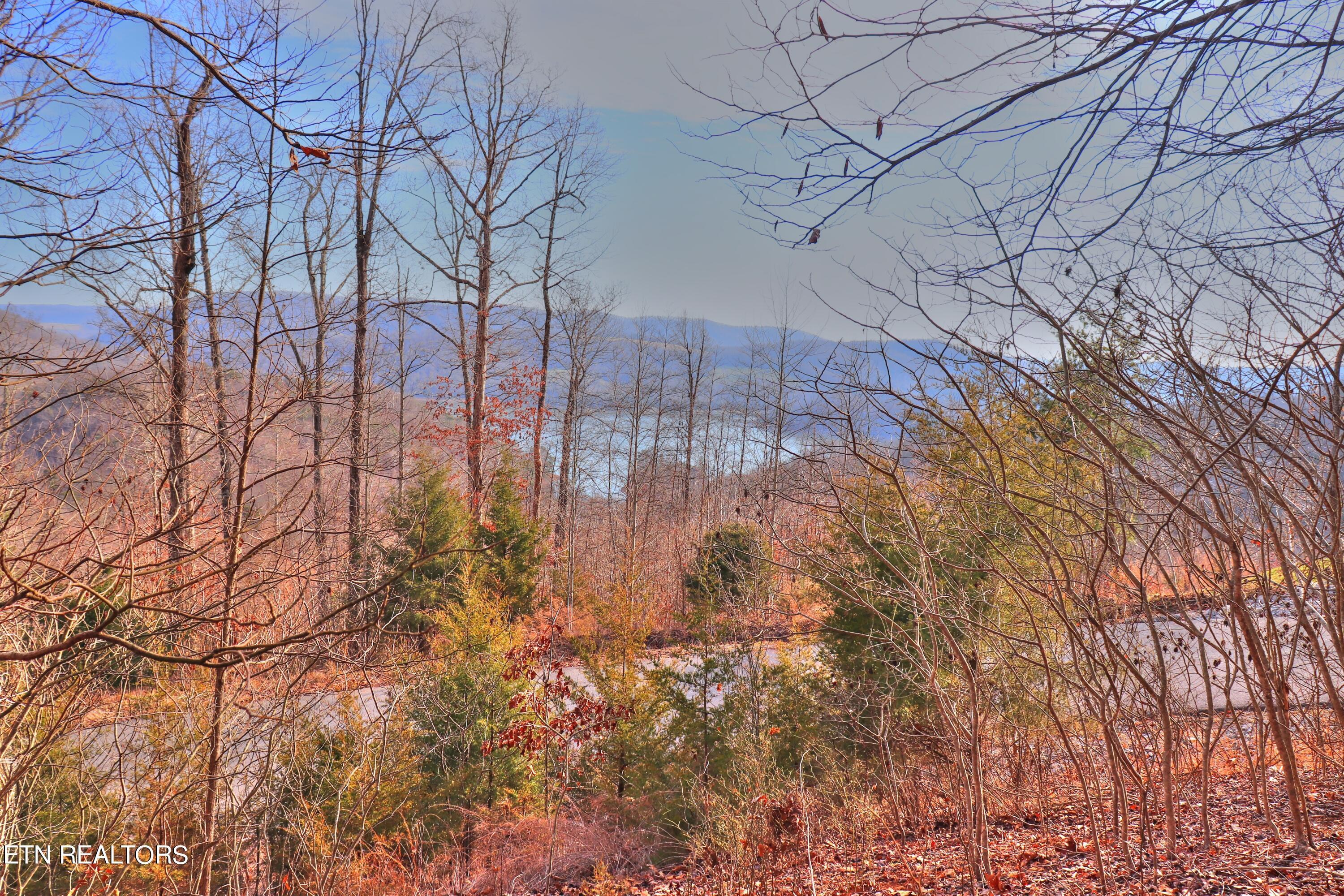 Lot 440 Feldspar Rd, New Tazewell, TN - Norris Lake Real Estate - Image# 11