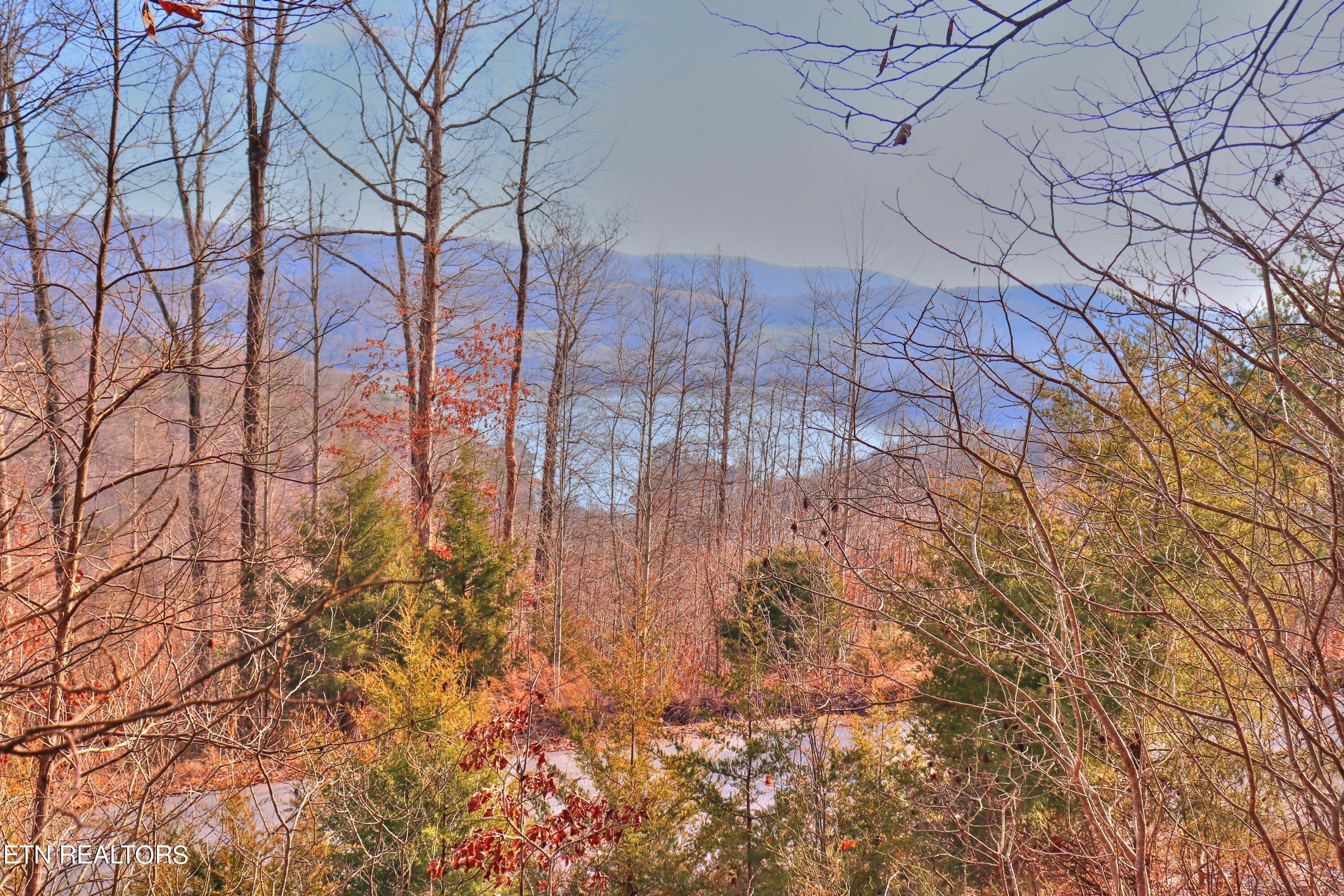 Lot 440 Feldspar Rd, New Tazewell, TN - Norris Lake Real Estate - Image# 12