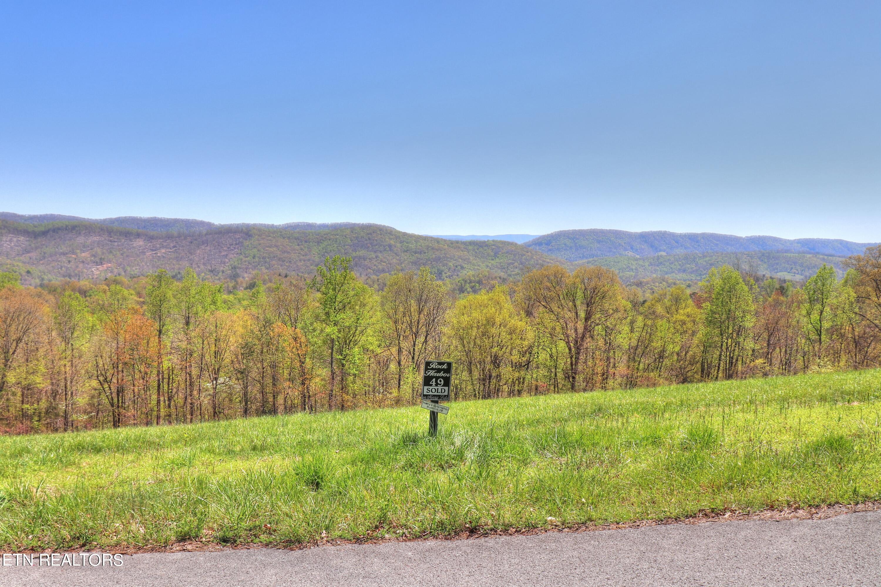Norris Lake Real Estate - Image# 4