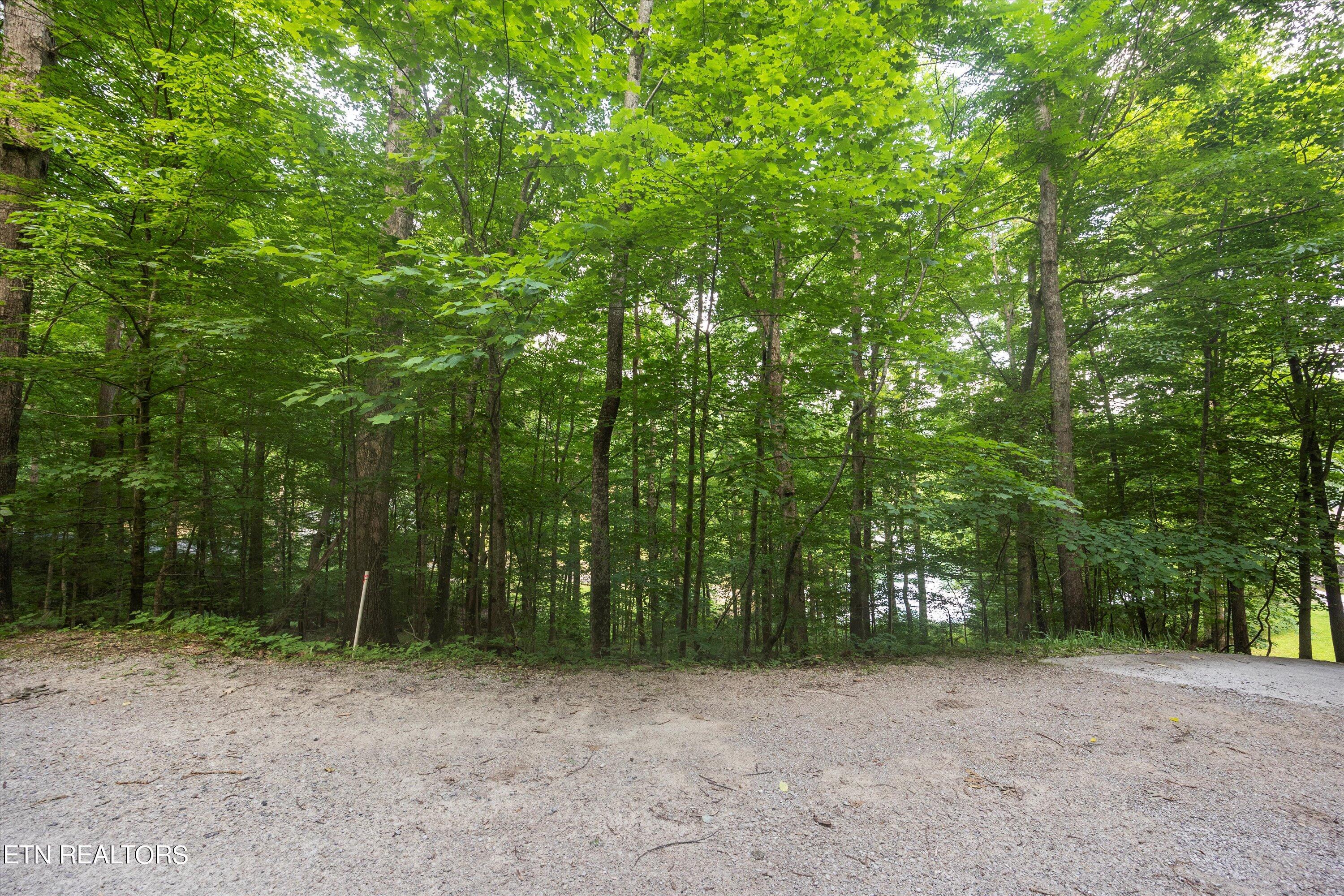 Norris Lake Real Estate - Image# 2