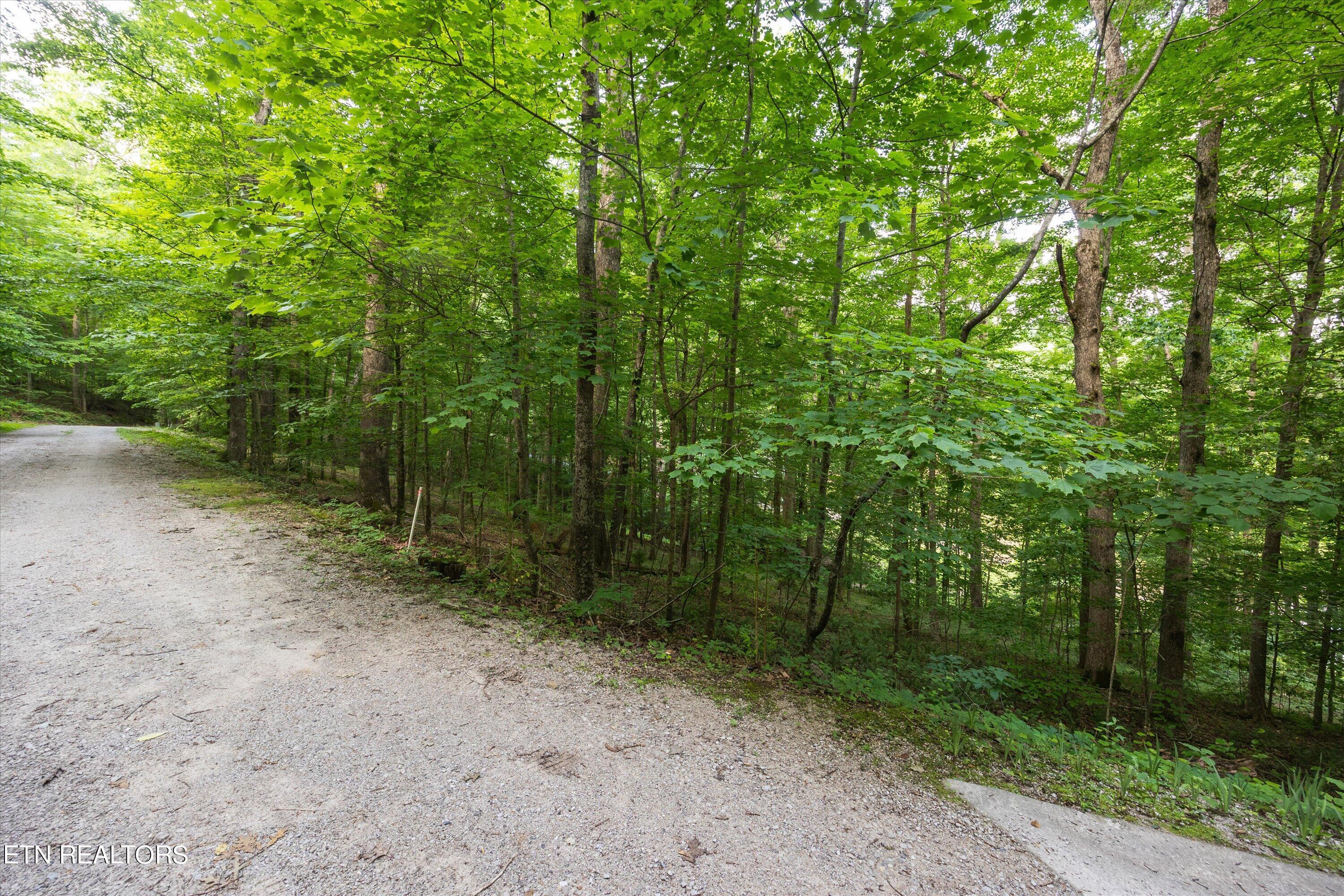 Norris Lake Real Estate - Image# 3