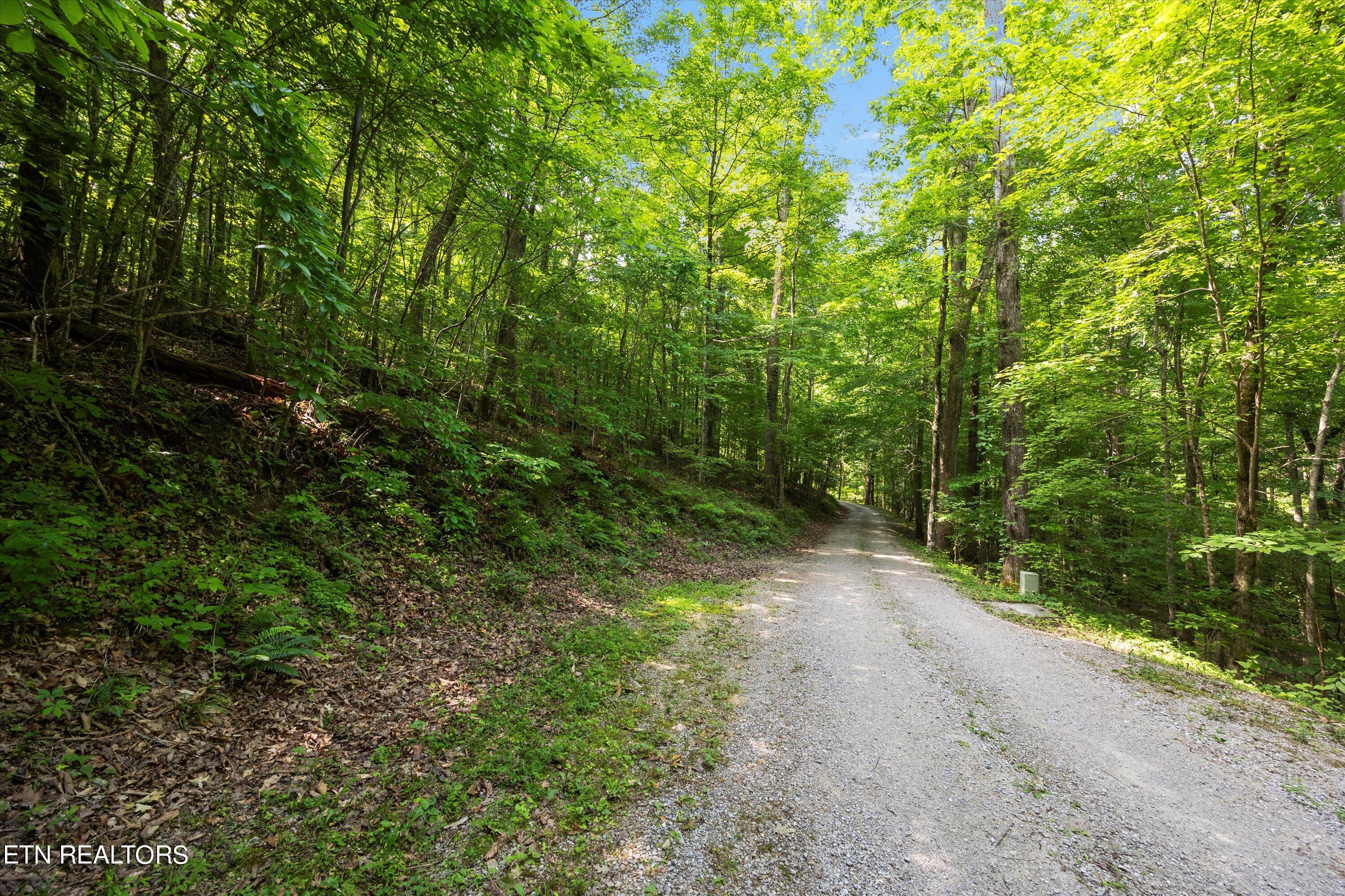 Norris Lake Real Estate - Image# 5