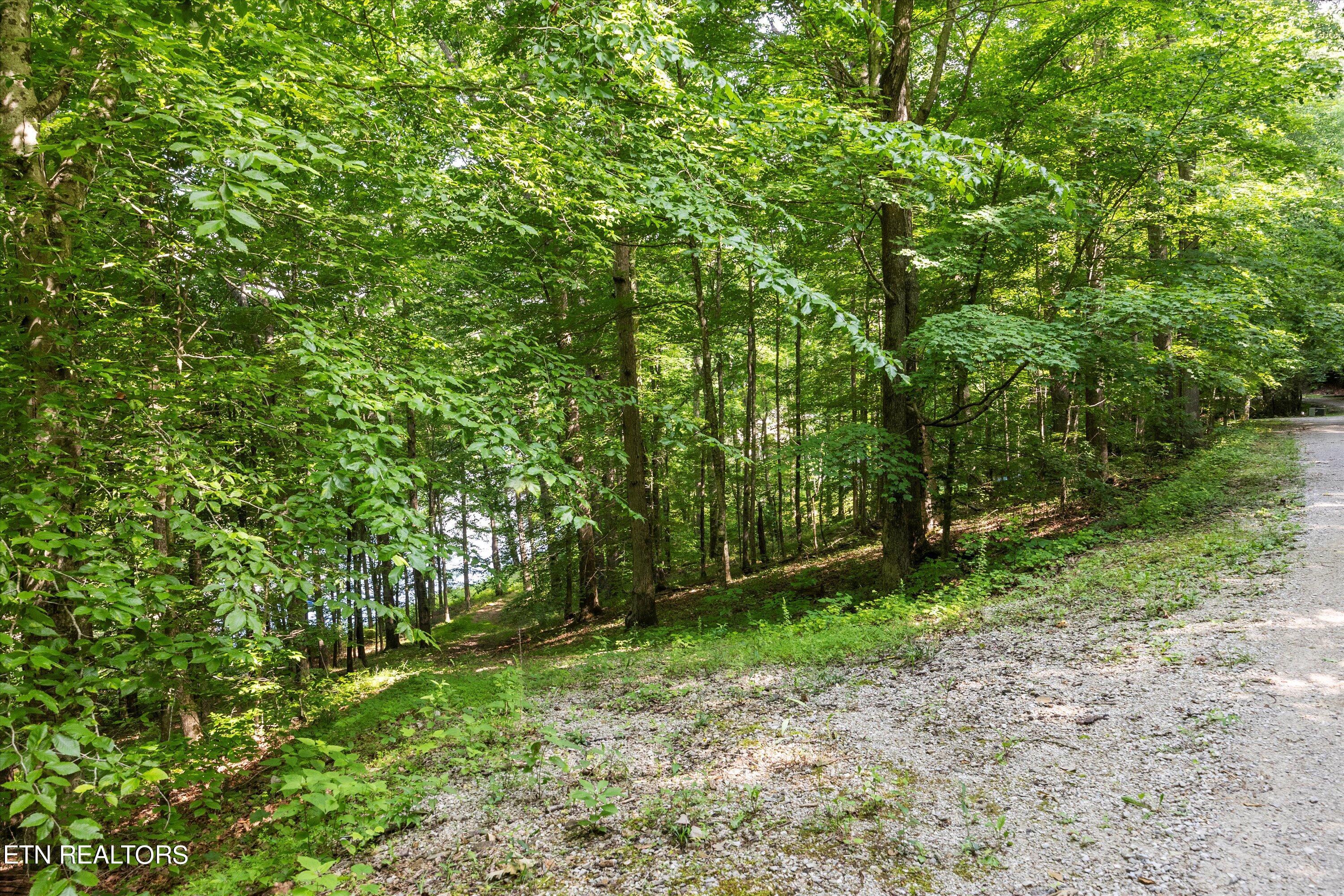Norris Lake Real Estate - Image# 6
