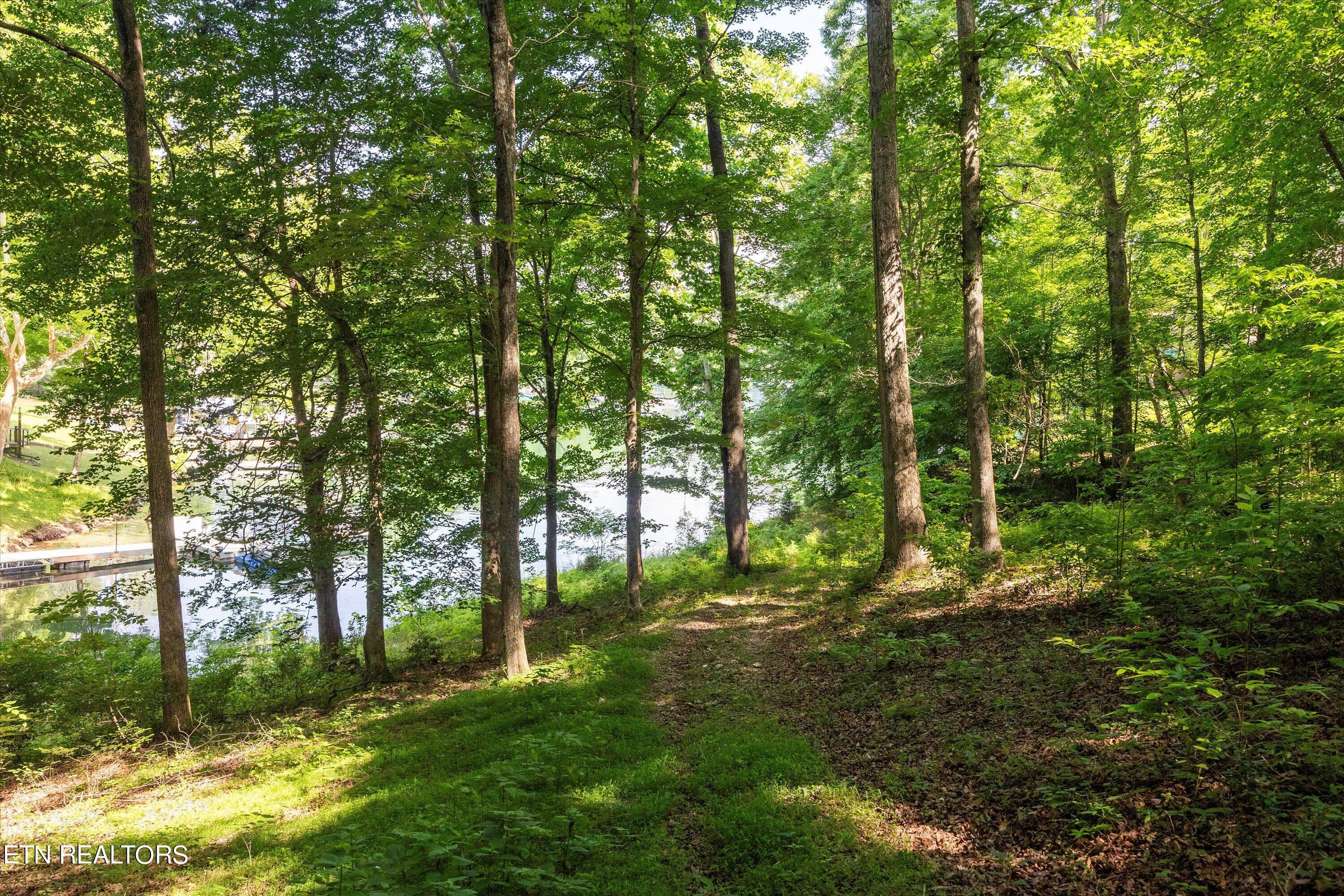 Norris Lake Real Estate - Image# 7