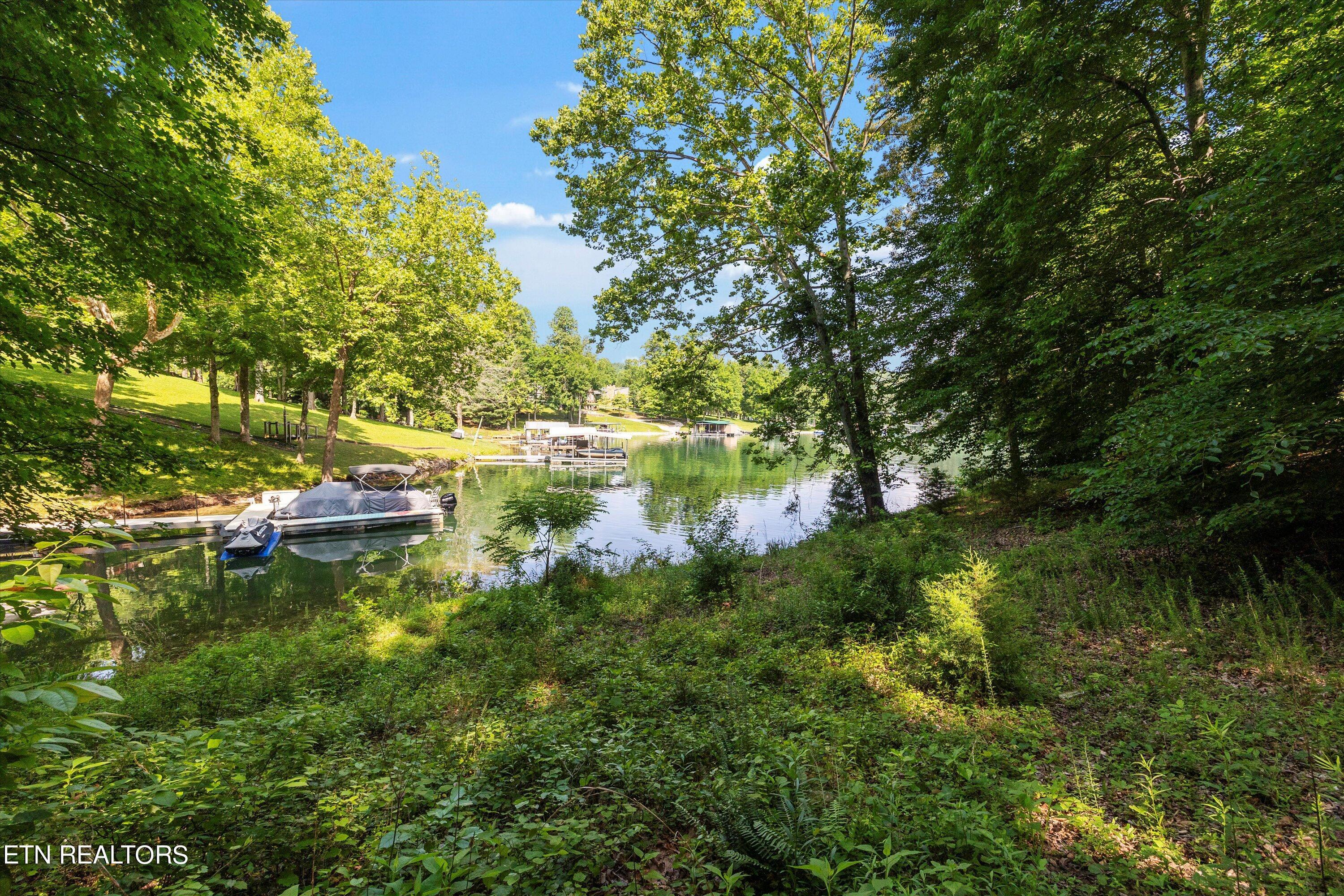 Norris Lake Real Estate - Image# 8