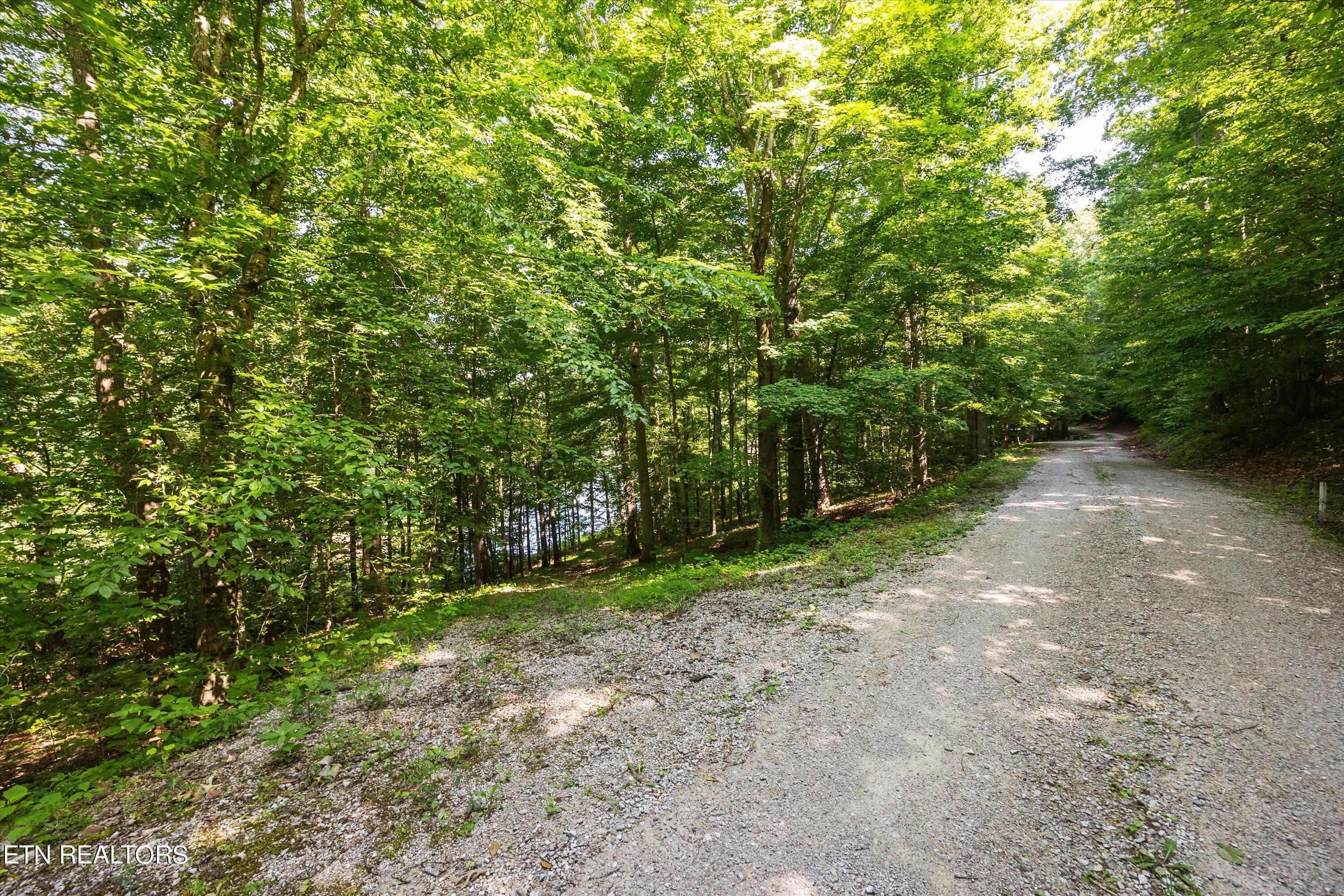 Norris Lake Real Estate - Image# 11